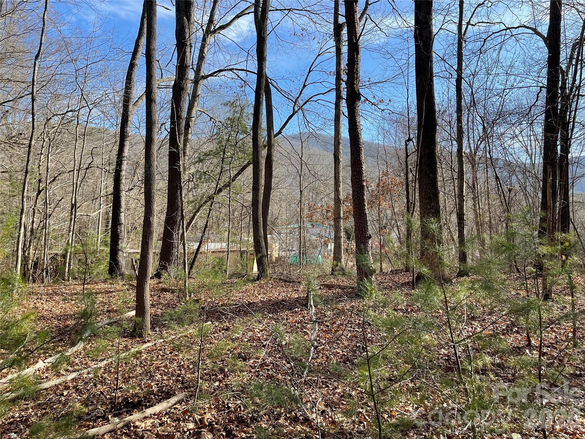 0 Max Metcalf Road Swannanoa, NC 28778 - Photo 6 of 17