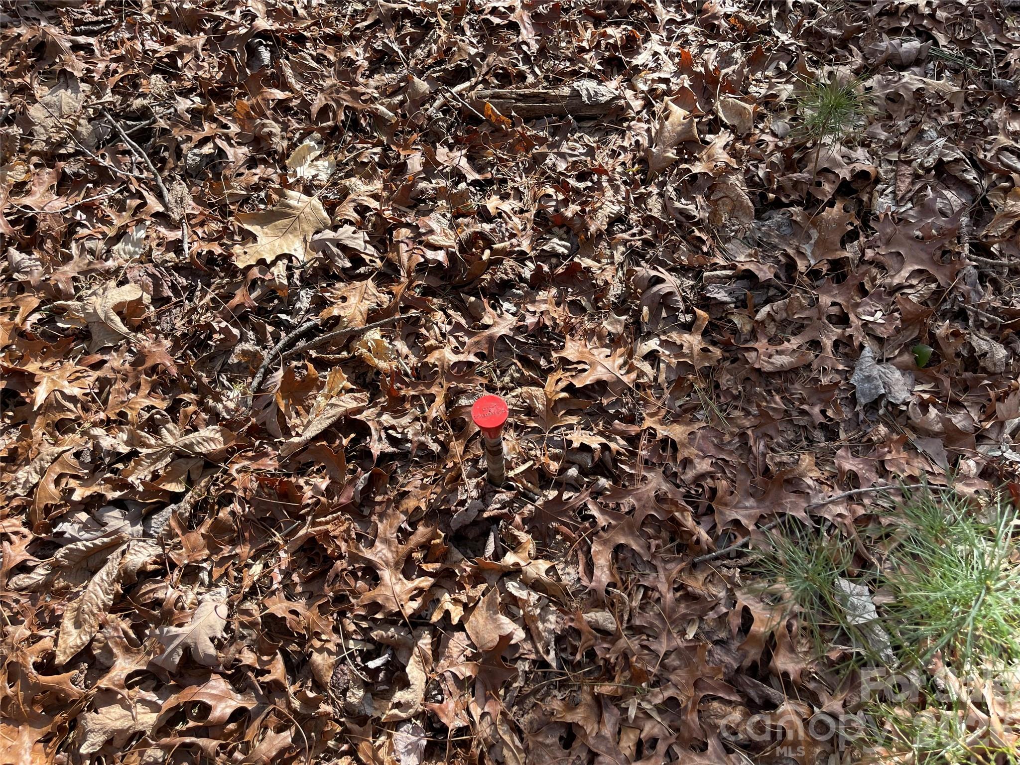 0 Max Metcalf Road Swannanoa, NC 28778 - Photo 7 of 17