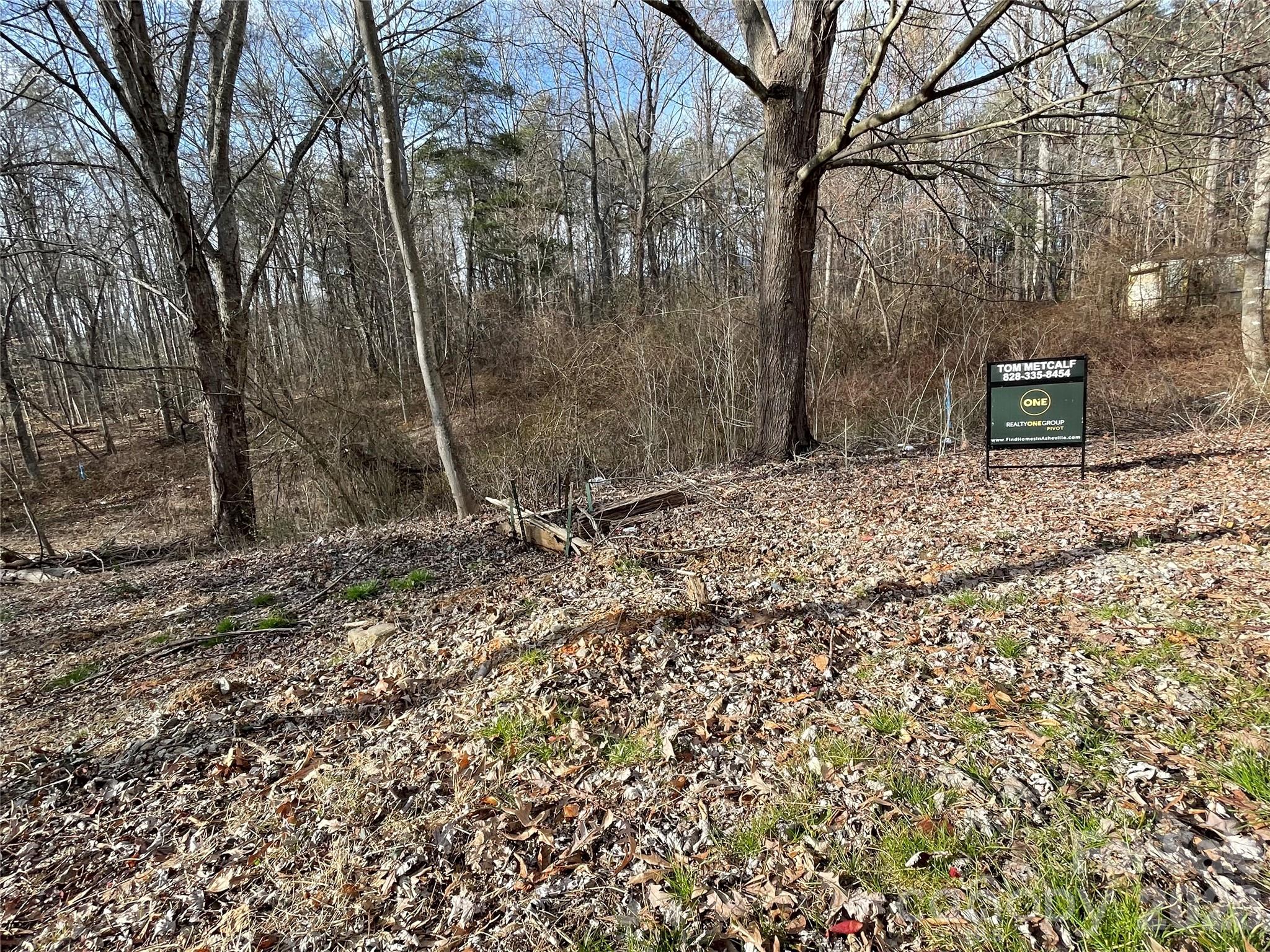 0 Max Metcalf Road Swannanoa, NC 28778 - Photo 10 of 17