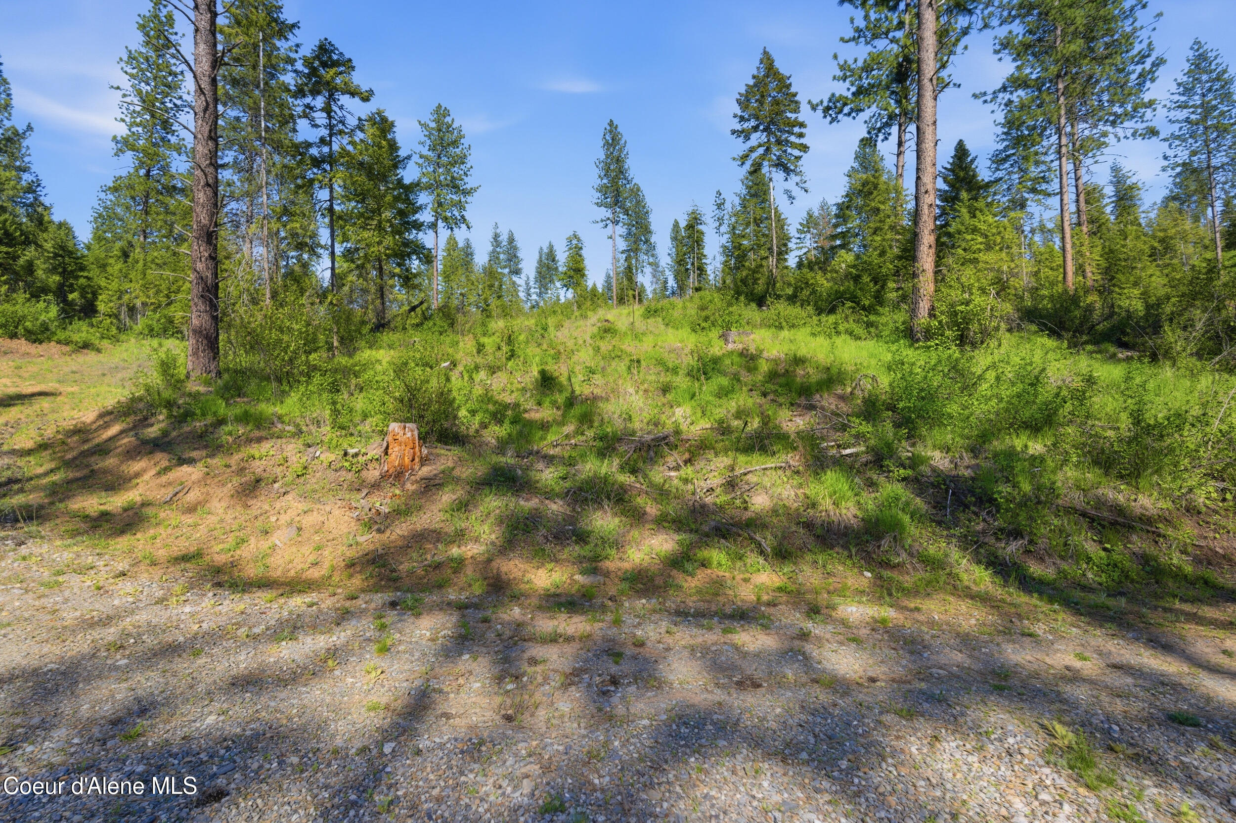 Nna Nna Stone Road Blanchard, ID 83804 - Photo 1 of 19 41__dsc5575