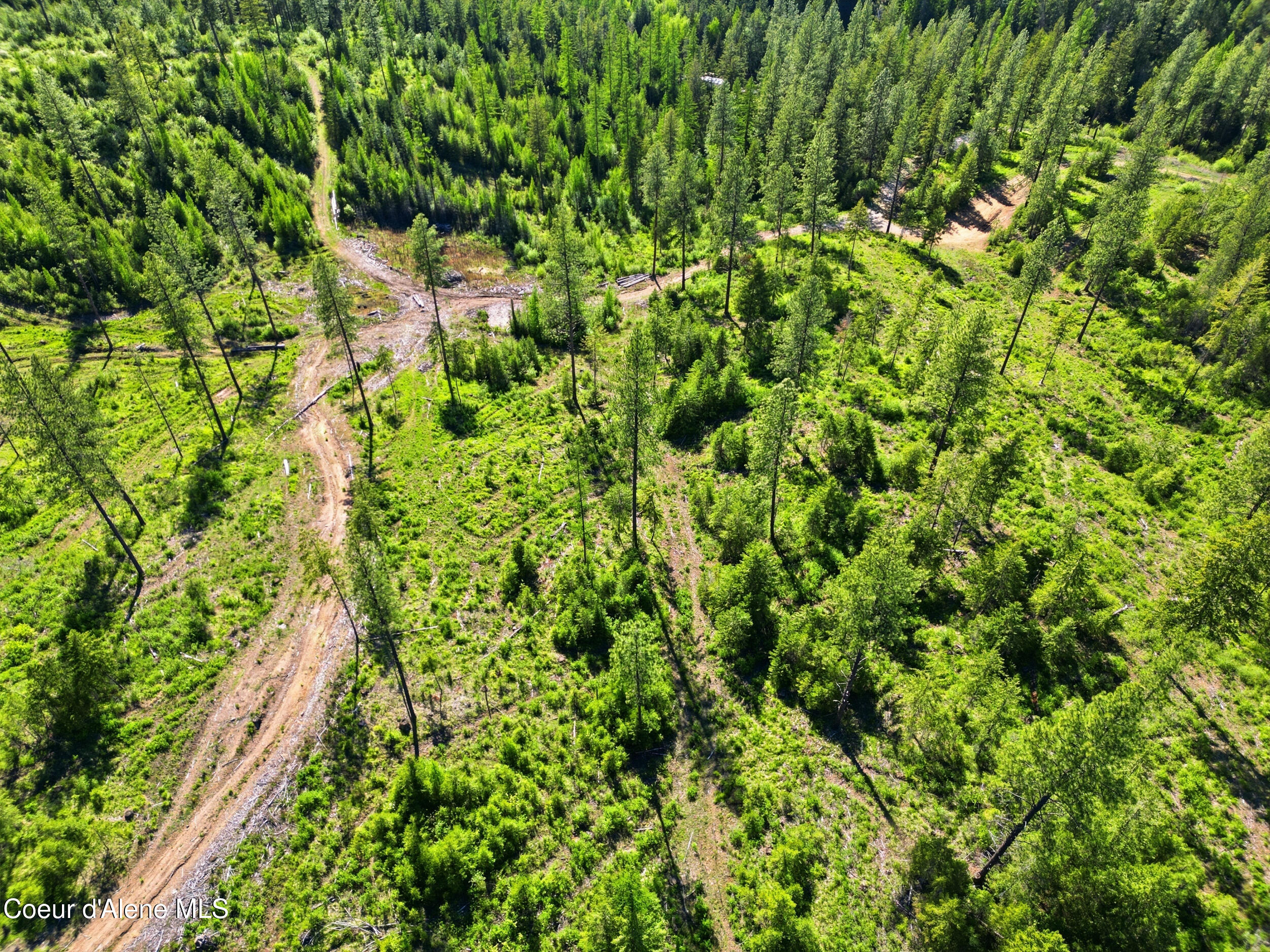 Nna Nna Stone Road Blanchard, ID 83804 - Photo 17 of 19 37_dji_0819