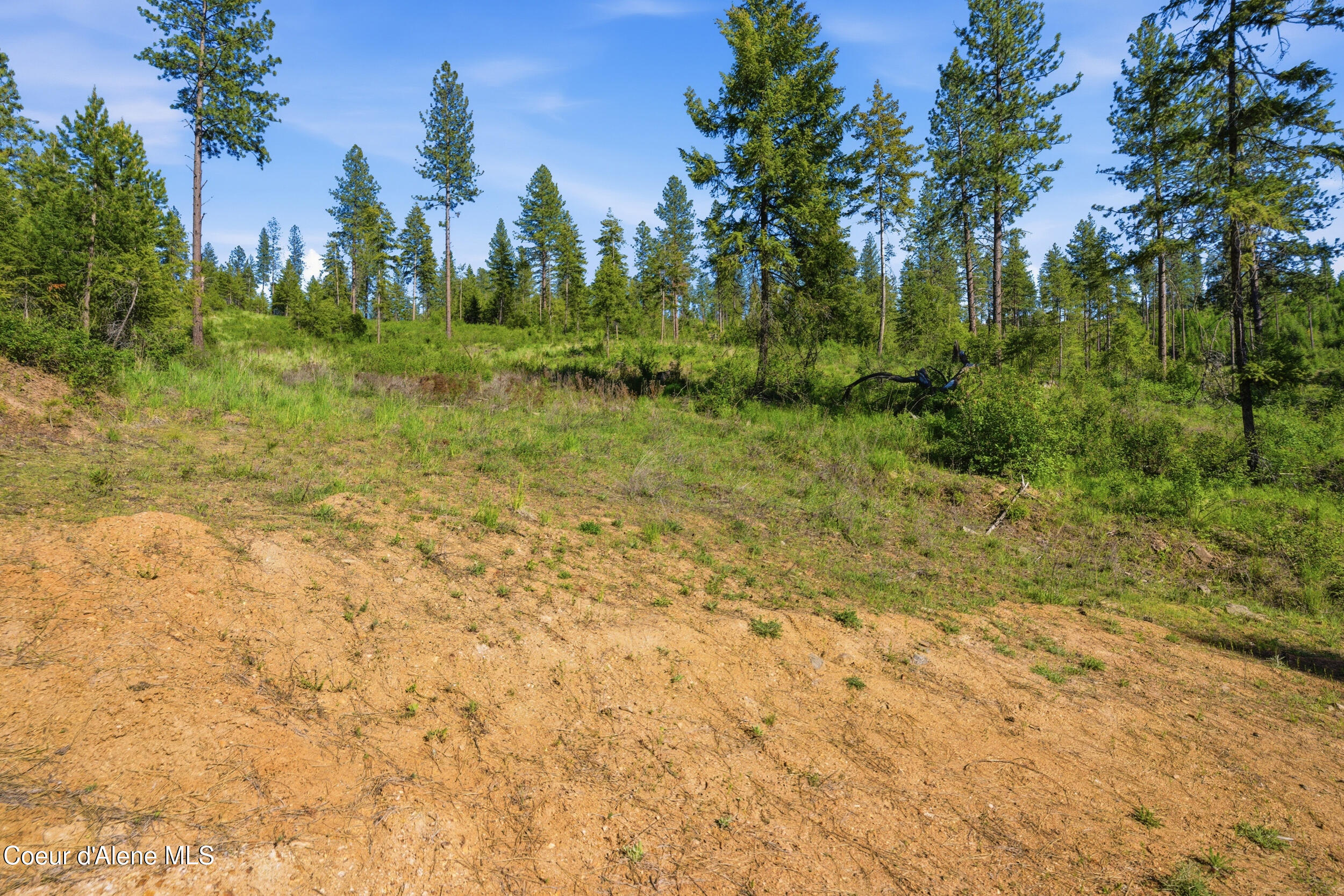 Nna Nna Stone Road Blanchard, ID 83804 - Photo 19 of 19 40__dsc5584