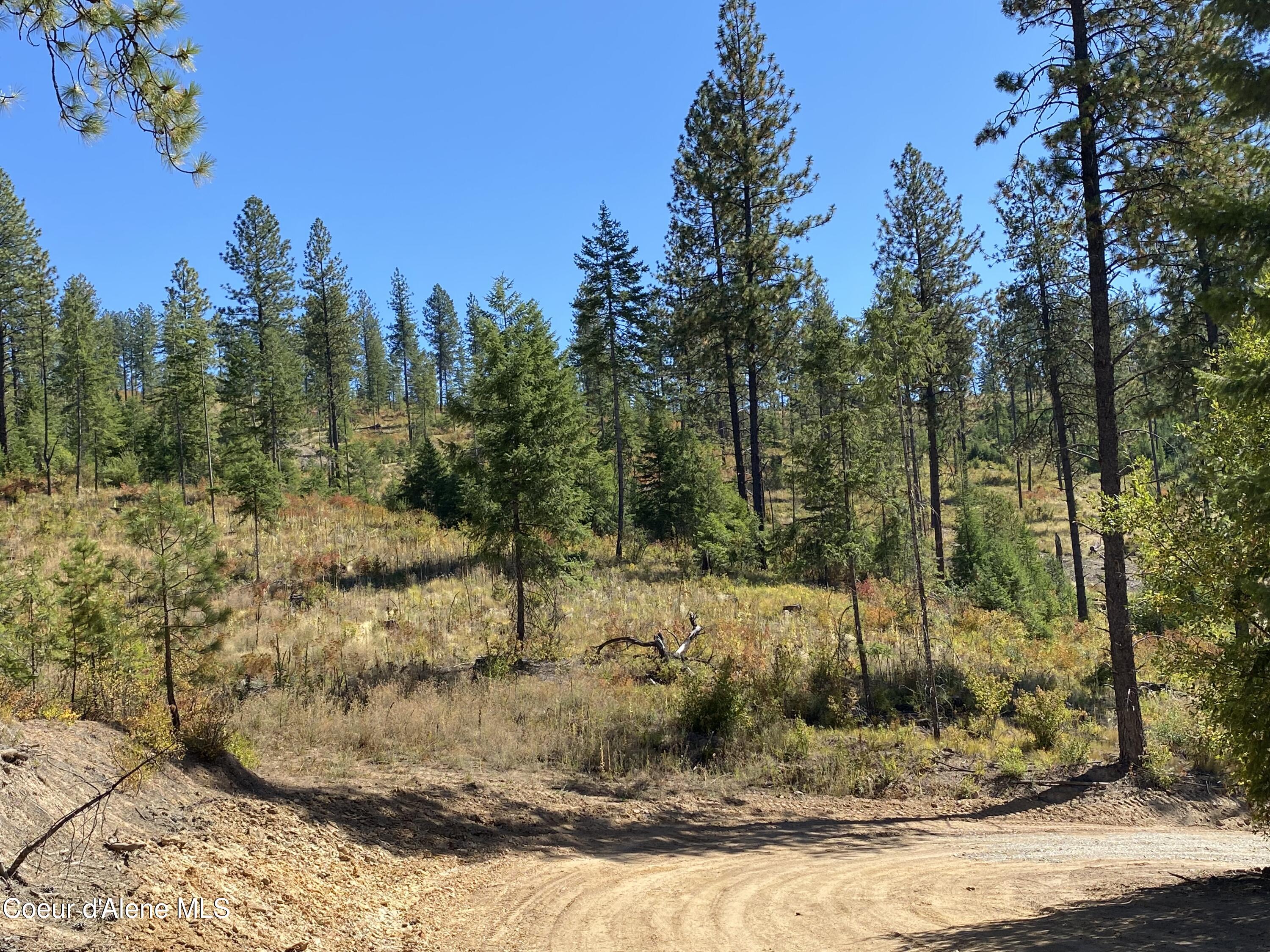 Nna Nna Stone Road Blanchard, ID 83804 - Photo 3 of 19 IMG_4132