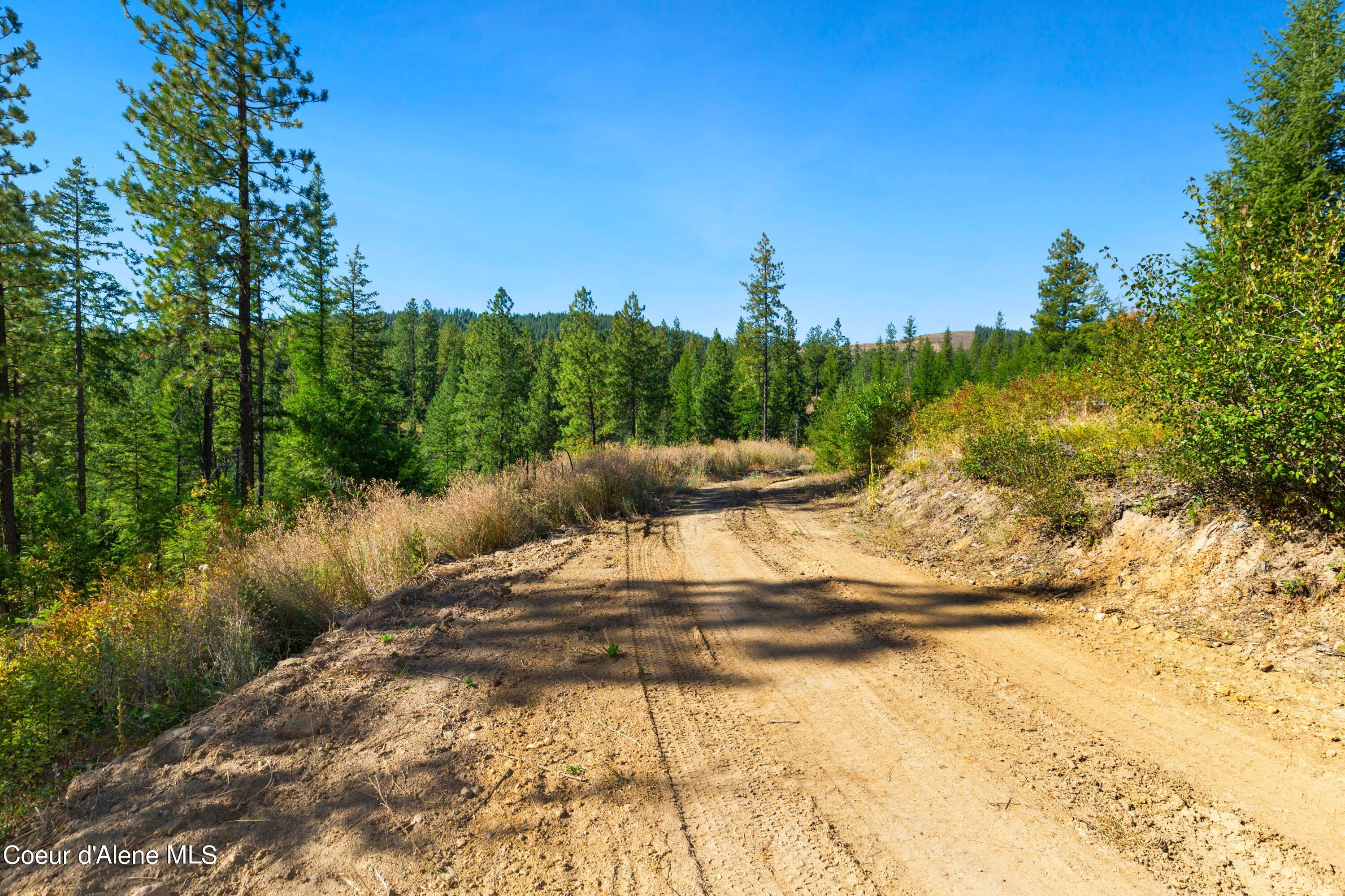 Nna Nna Stone Road Blanchard, ID 83804 - Photo 4 of 19 EasyStoneLOT_01