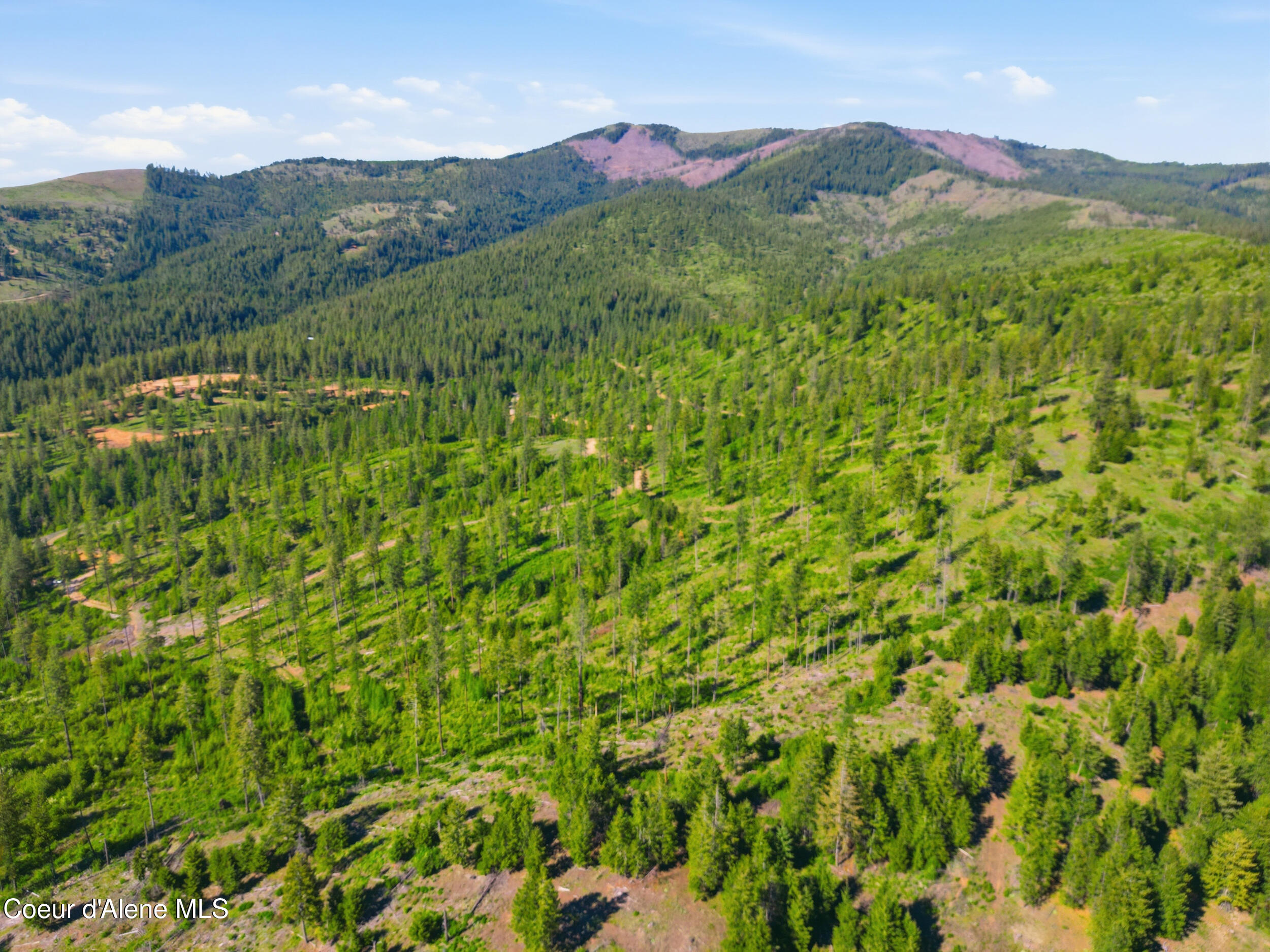Nna Nna Stone Road Blanchard, ID 83804 - Photo 9 of 19 29_dji_0753
