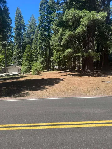 a view of a swimming pool and a yard