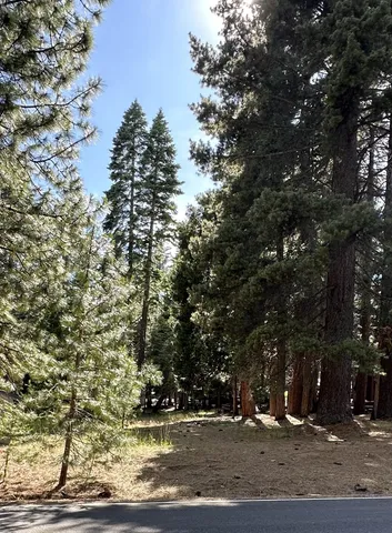 a view of outdoor space with green space