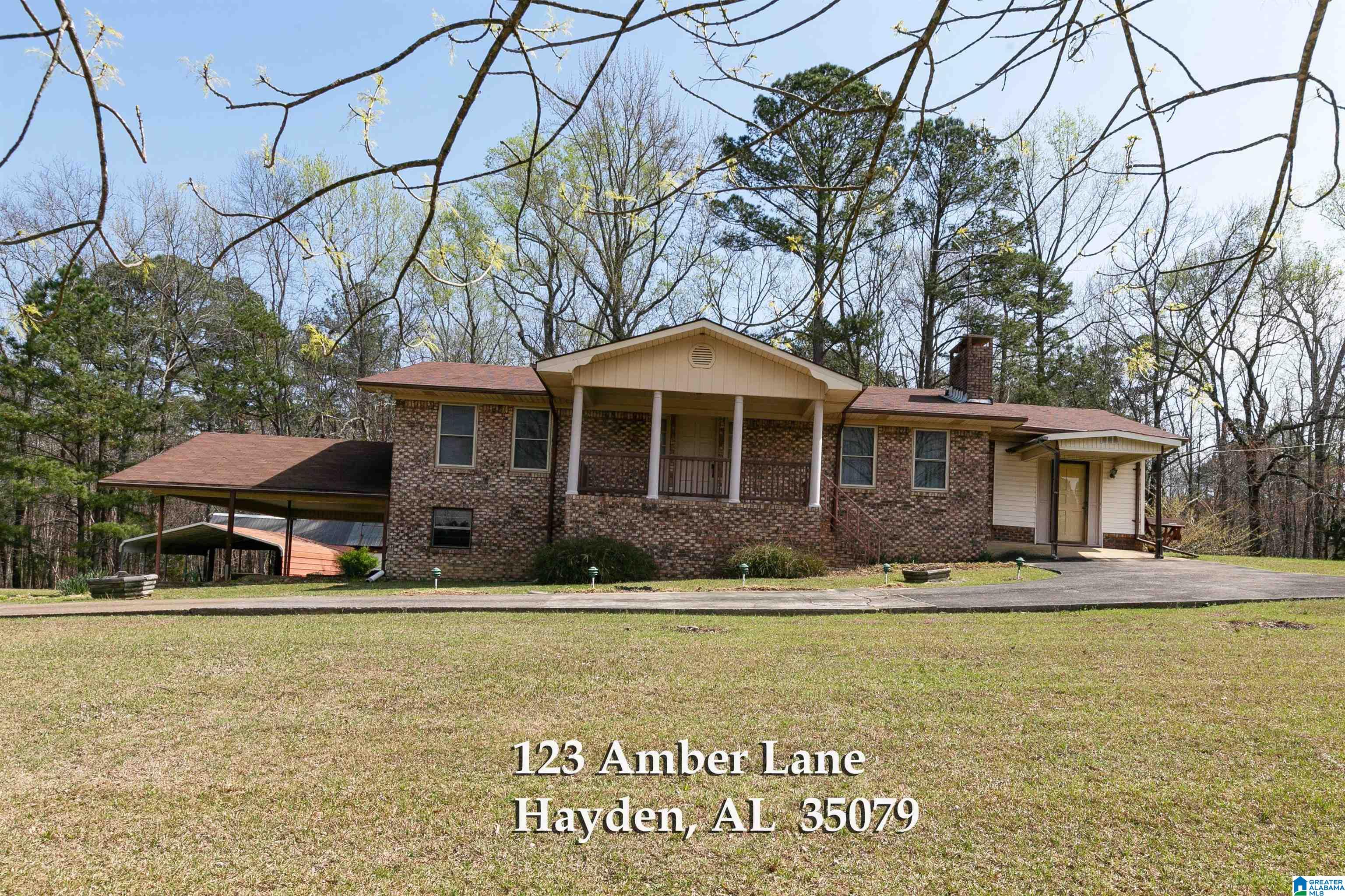 123 Amber Lane Hayden, AL 35079 - Photo 1 of 68