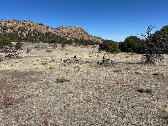 3 B Majors Ranch Road Walsenburg, CO 81089 - Photo 19 of 54