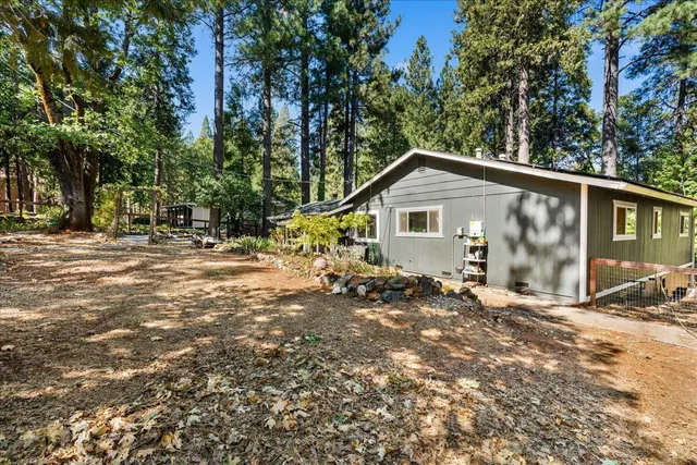 a view of a yard with a tree