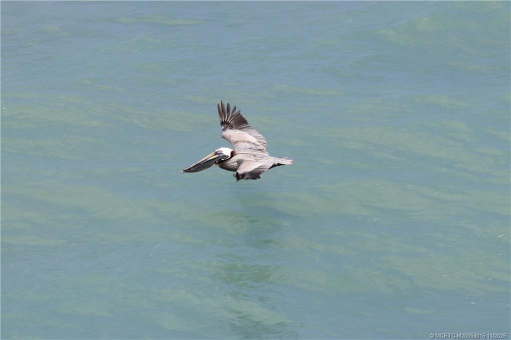 7380 South Ocean Drive, Unit 621 Jensen Beach, FL 34957 - Photo 21 of 48