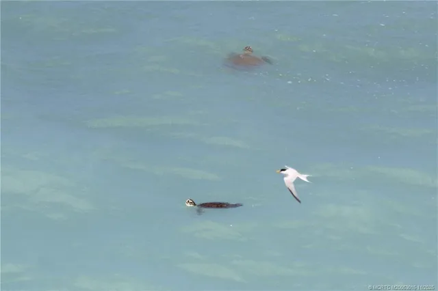 $5,500 | 7380 South Ocean Drive, Unit 621, Jensen Beach, FL 34957