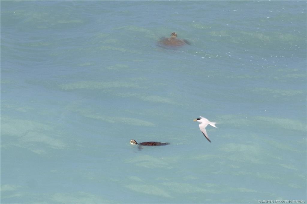 7380 South Ocean Drive, Unit 621 Jensen Beach, FL 34957 - Photo 22 of 48 a close view of a bathtub in the bathroom