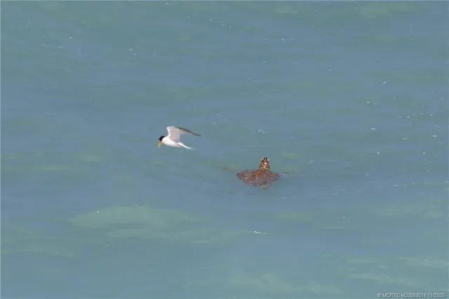 $5,500 | 7380 South Ocean Drive, Unit 621, Jensen Beach, FL 34957