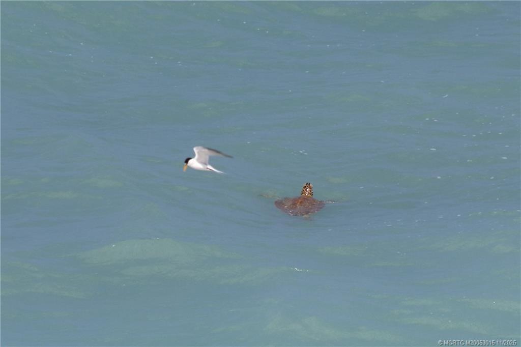 7380 South Ocean Drive, Unit 621 Jensen Beach, FL 34957 - Photo 44 of 48 a bathroom with a shower