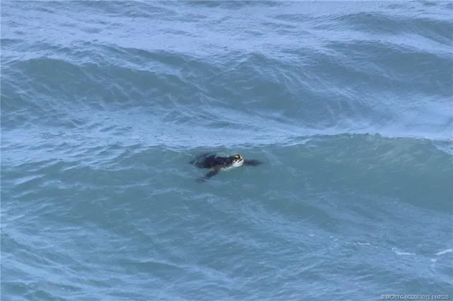 $5,500 | 7380 South Ocean Drive, Unit 621, Jensen Beach, FL 34957