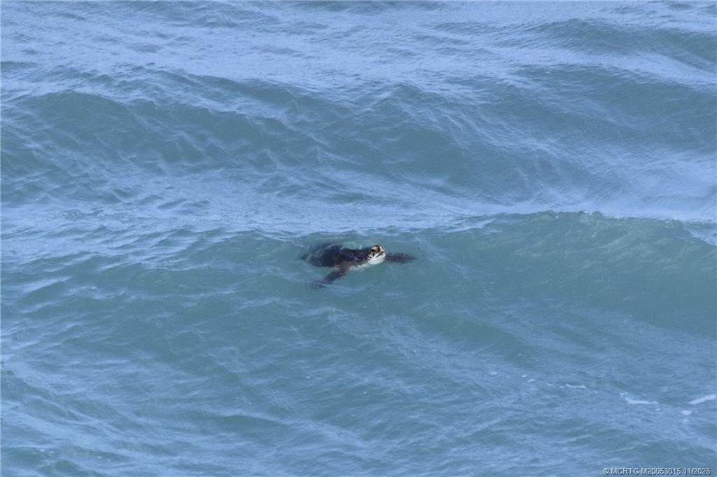 7380 South Ocean Drive, Unit 621 Jensen Beach, FL 34957 - Photo 45 of 48 a backyard of a house