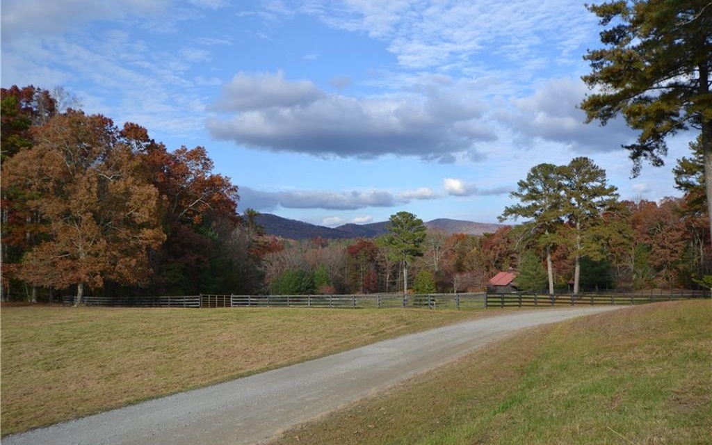 Spring Camp Road Ellijay, GA 30536 - Photo 6 of 23 Additional View