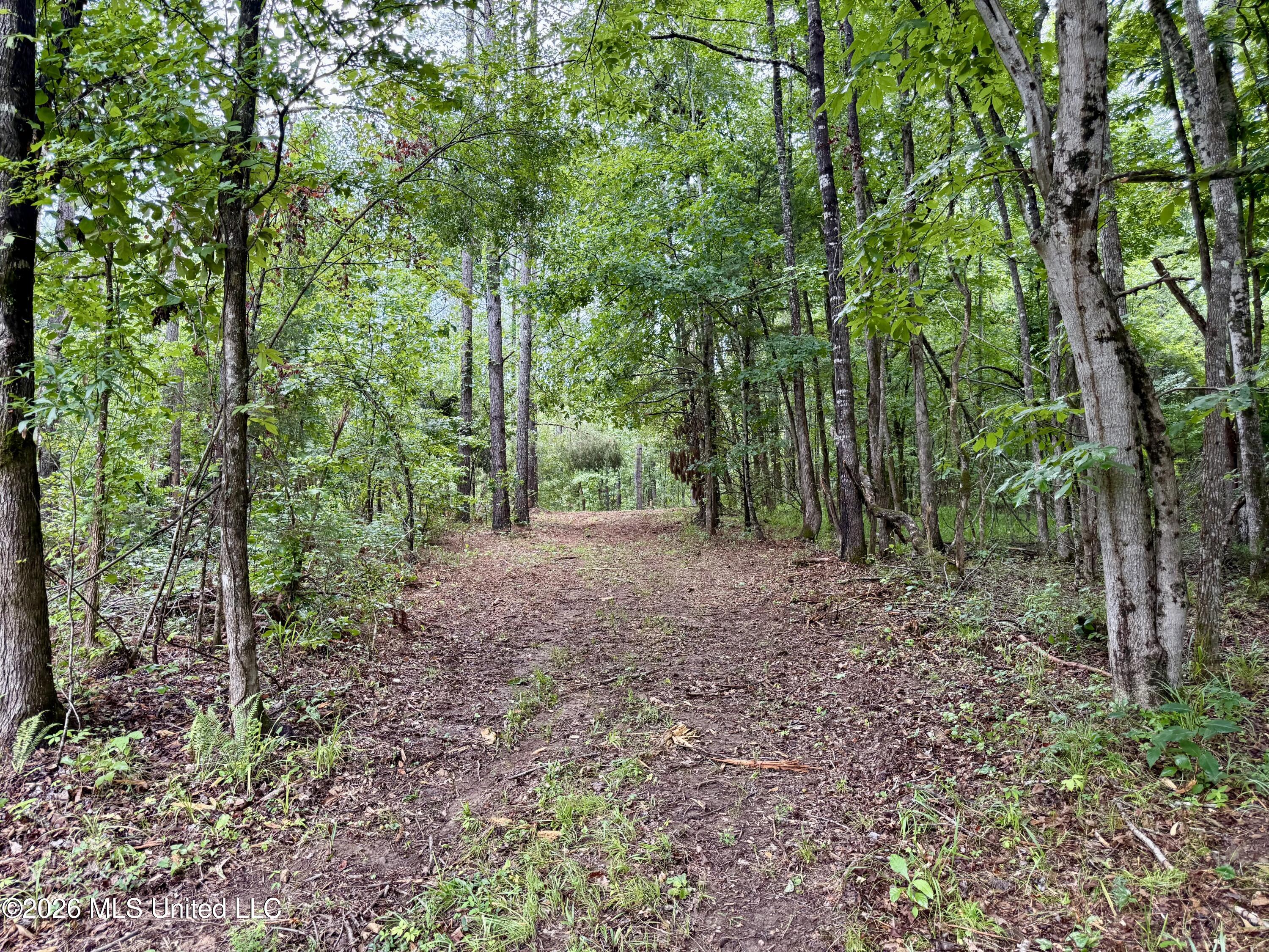 568 Smith-Bailey Road Durant, MS 39063 - Photo 63 of 81 Photo Jul 02 2026, 2 41 57 PM