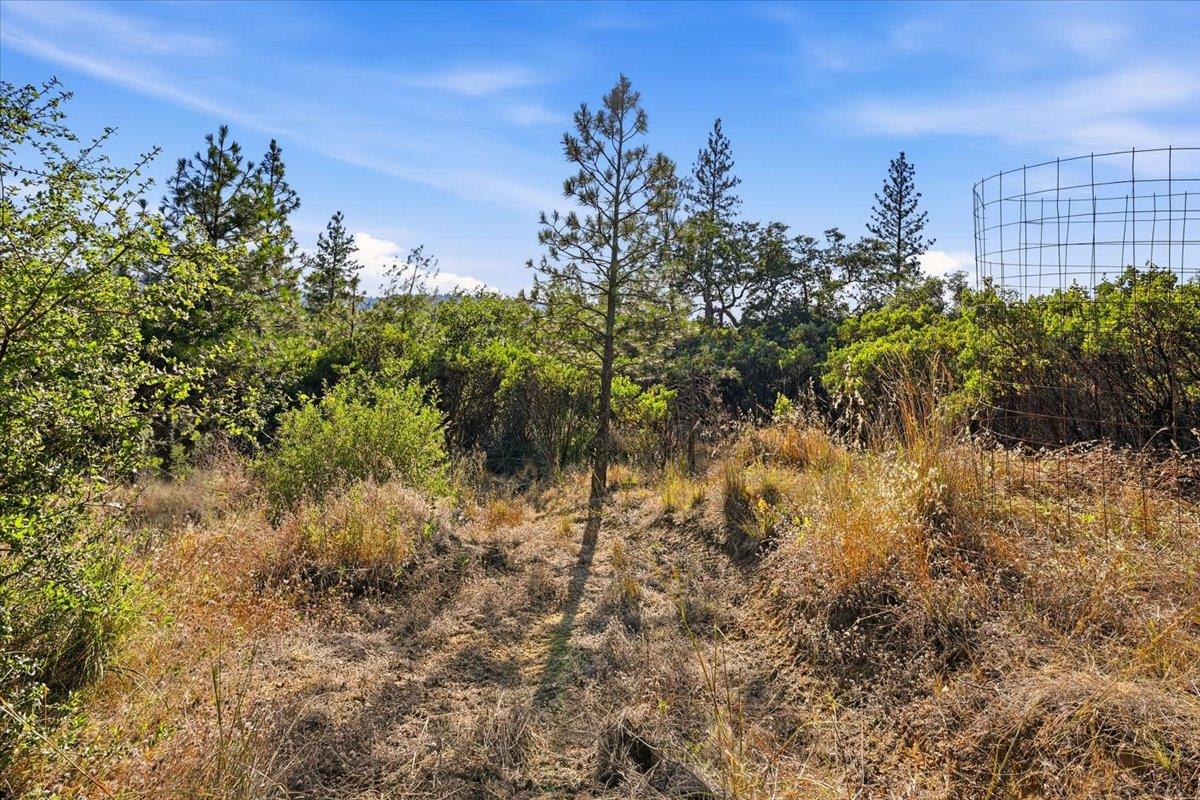 17436 Black Forest Road Penn Valley, CA 95946 - Photo 35 of 36