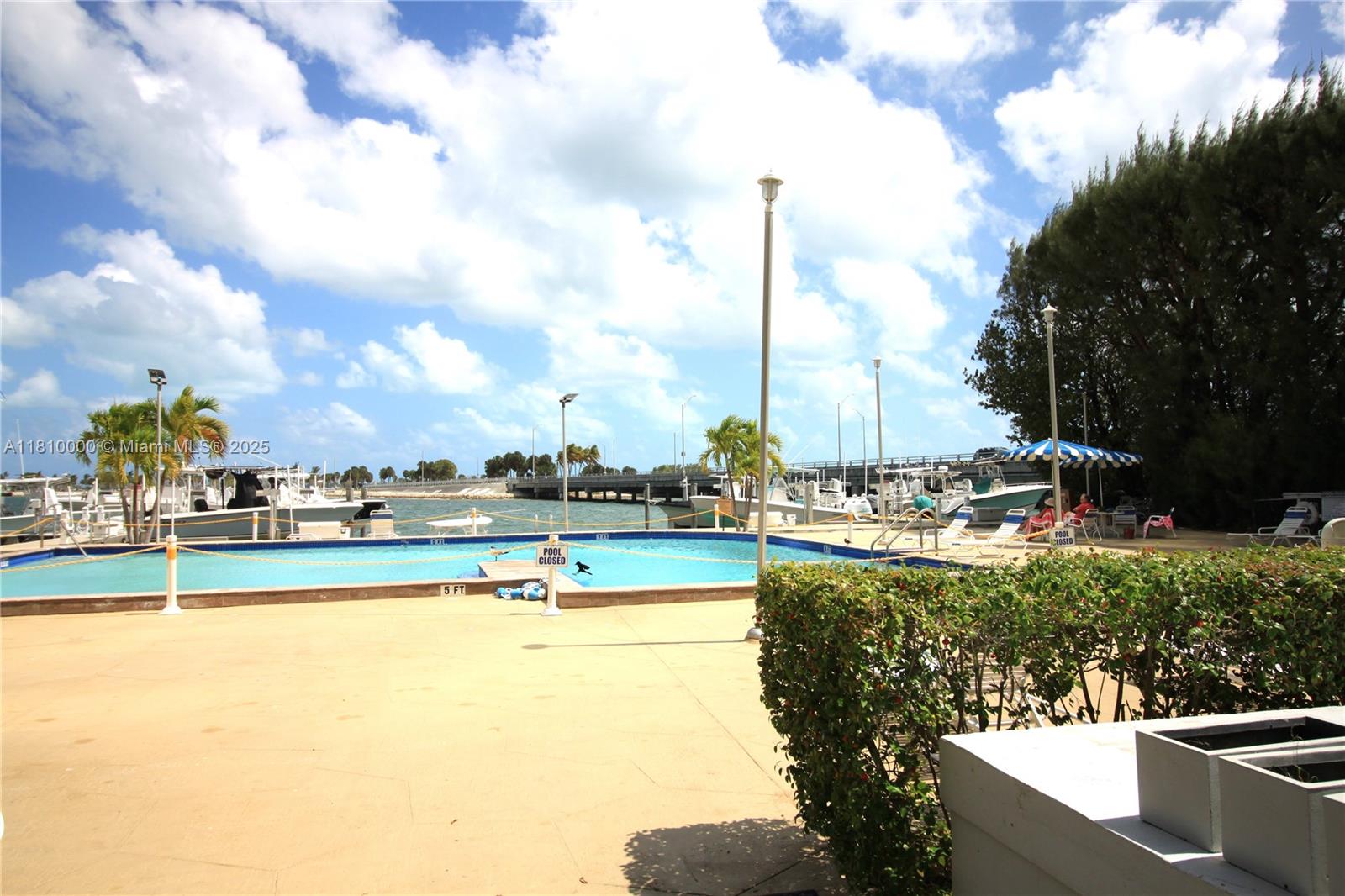 150 Southeast 25th Road, Unit 10K Miami, FL 33129 - Photo 31 of 43 a view of a swimming pool with a lawn chairs and palm tree