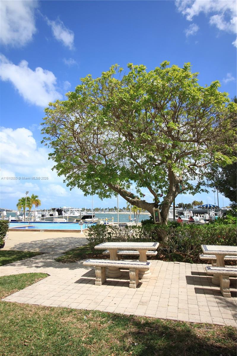 150 Southeast 25th Road, Unit 10K Miami, FL 33129 - Photo 34 of 43 a view of lake with trees