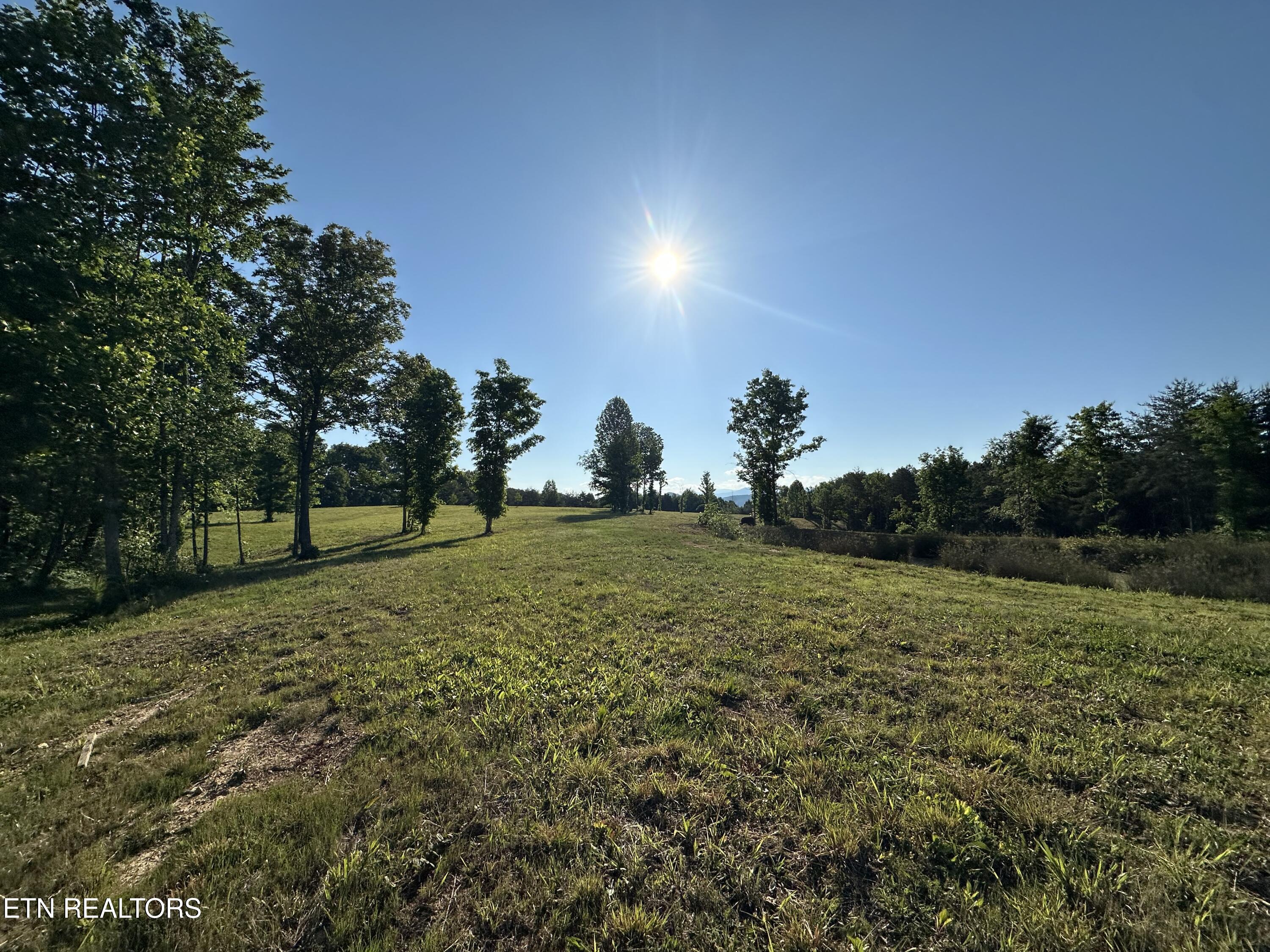 7 Curtis Road Tellico Plains, TN 37385 - Photo 13 of 18 IMG_9397