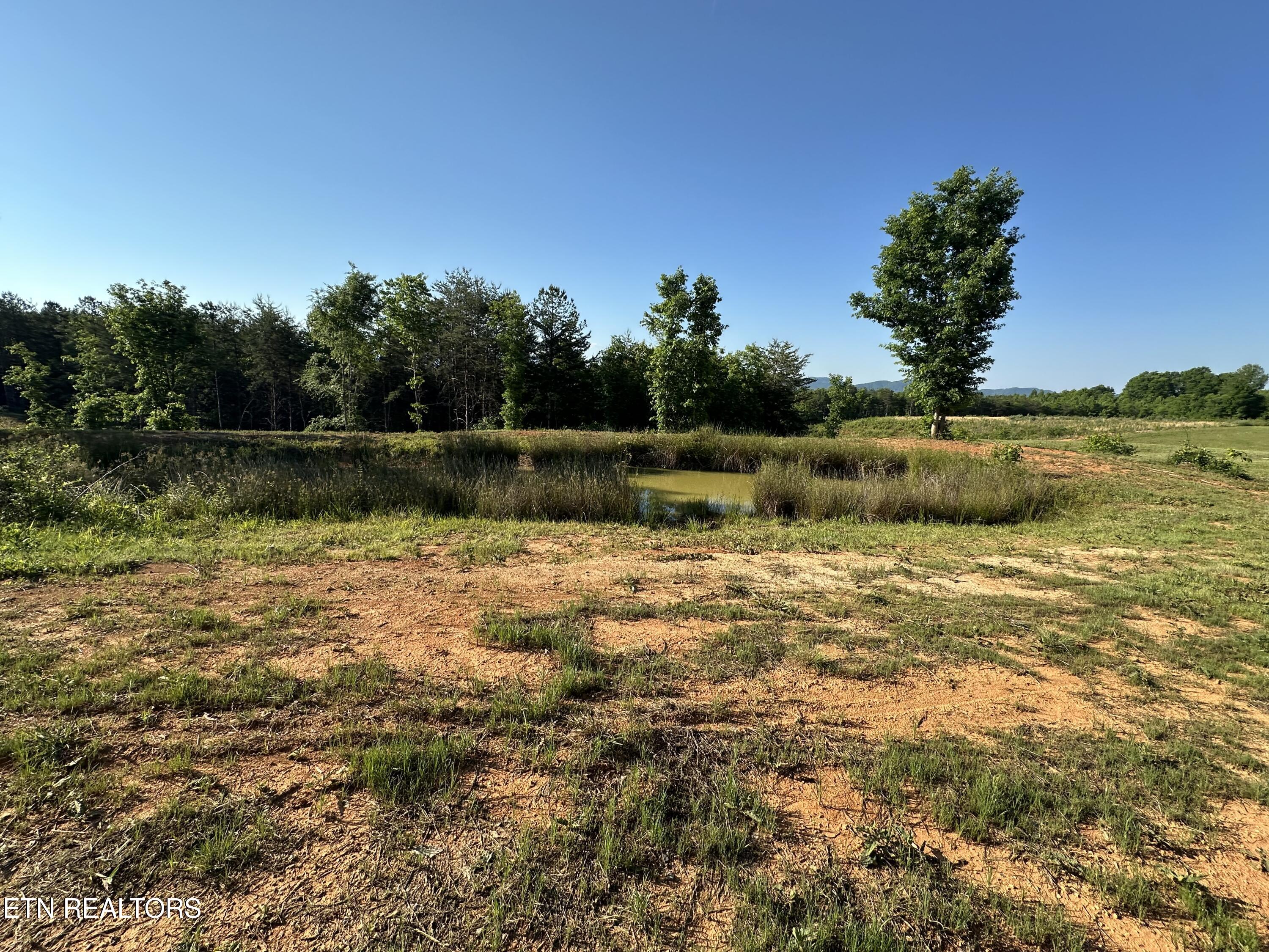 7 Curtis Road Tellico Plains, TN 37385 - Photo 14 of 18 IMG_9398