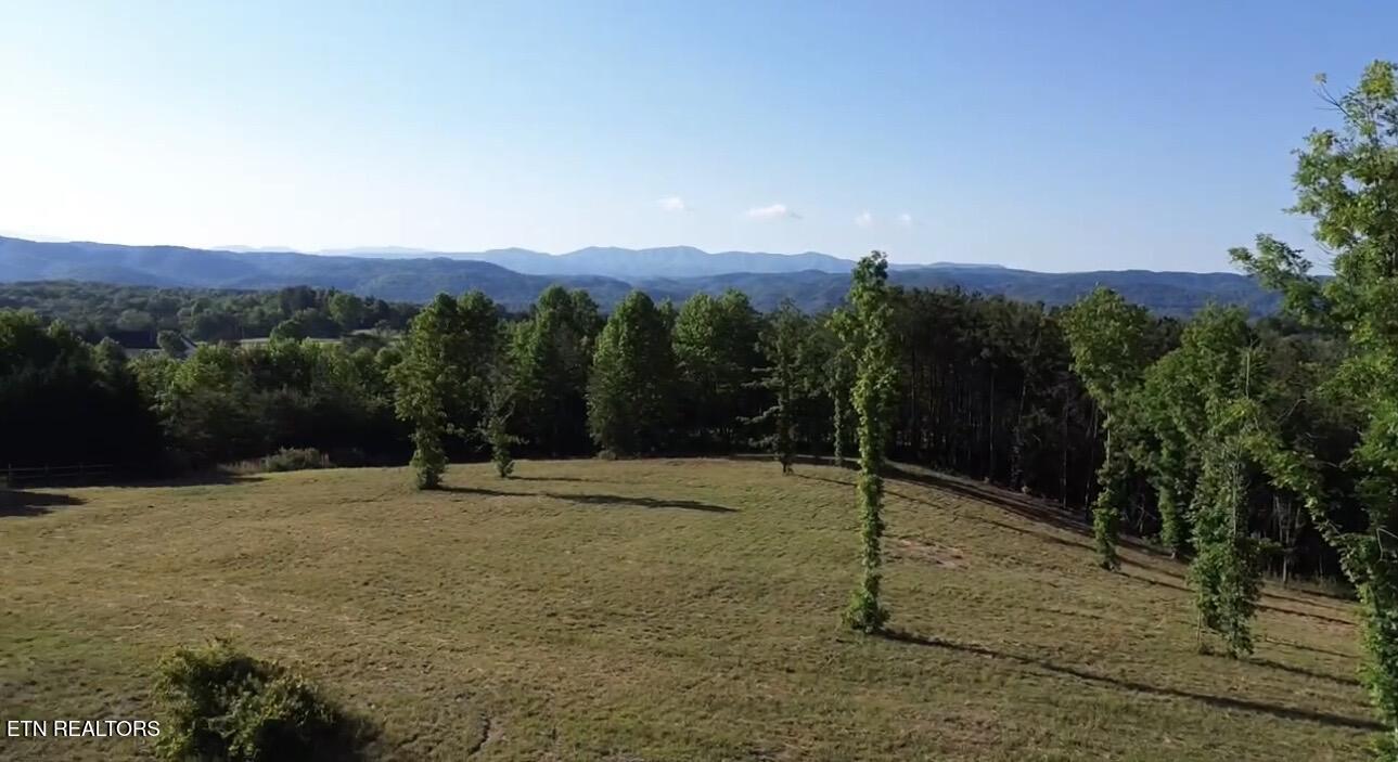 7 Curtis Road Tellico Plains, TN 37385 - Photo 16 of 18 IMG_9423