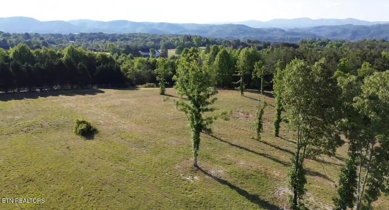 7 Curtis Road Tellico Plains, TN 37385 - Photo 17 of 18 IMG_9422