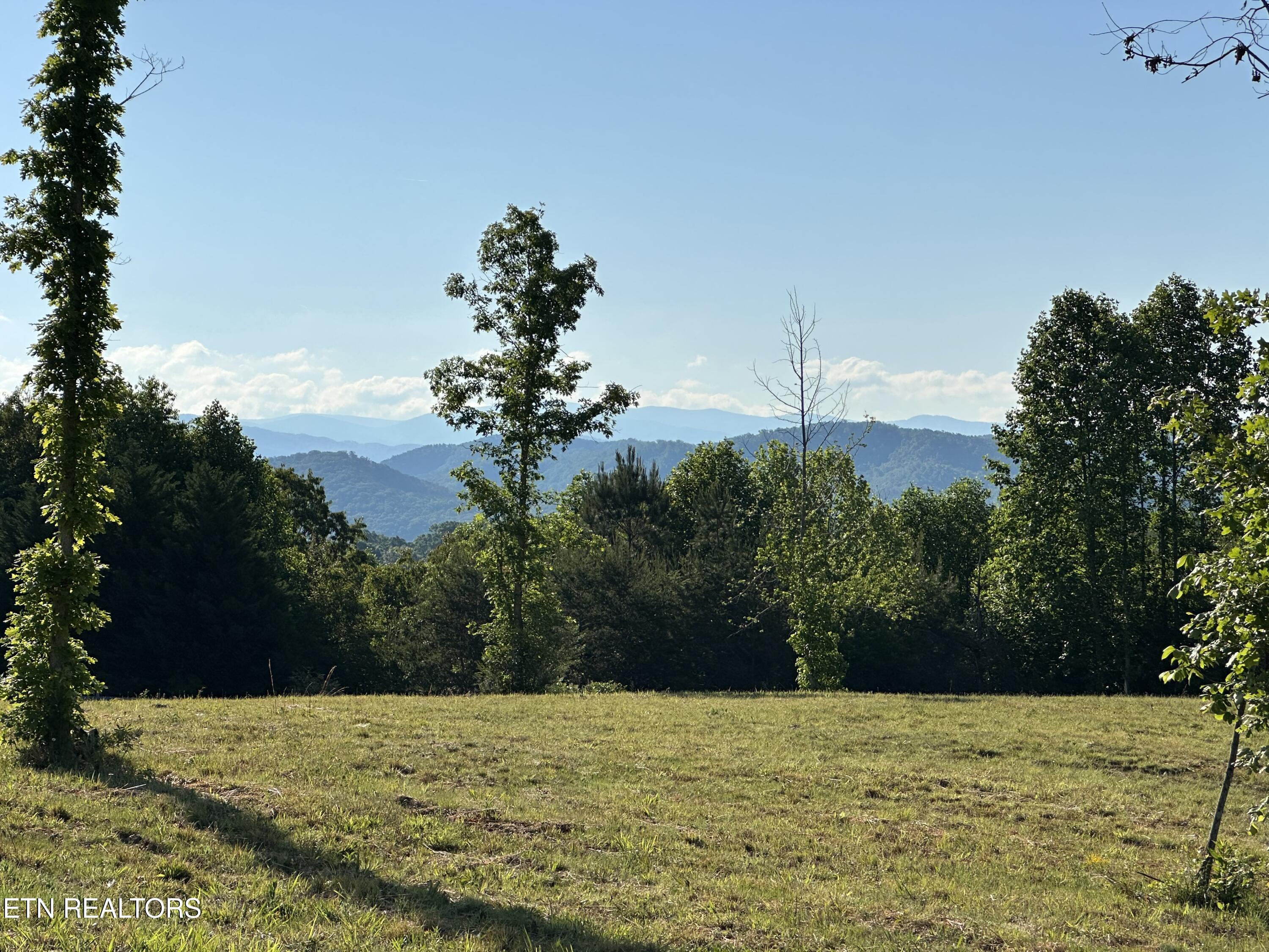 7 Curtis Road Tellico Plains, TN 37385 - Photo 3 of 18 IMG_9404