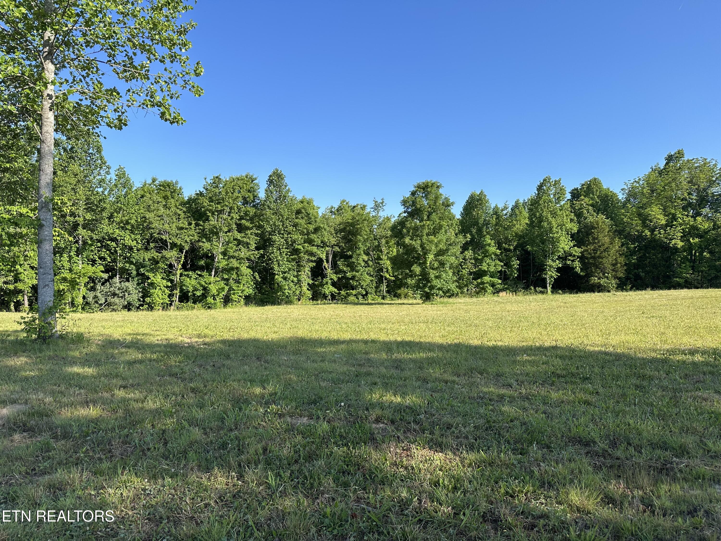 7 Curtis Road Tellico Plains, TN 37385 - Photo 5 of 18 IMG_9411
