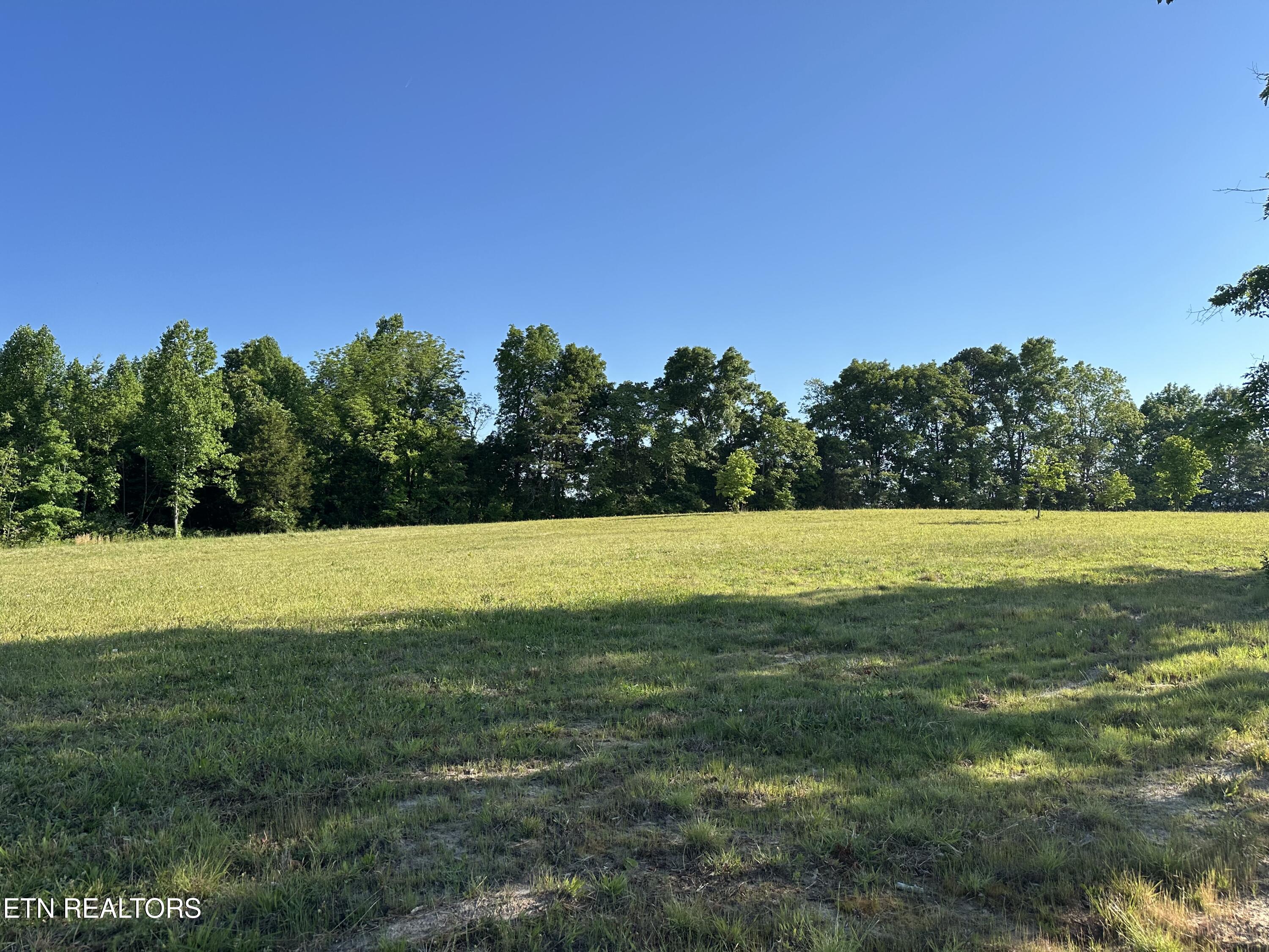 7 Curtis Road Tellico Plains, TN 37385 - Photo 6 of 18 IMG_9410