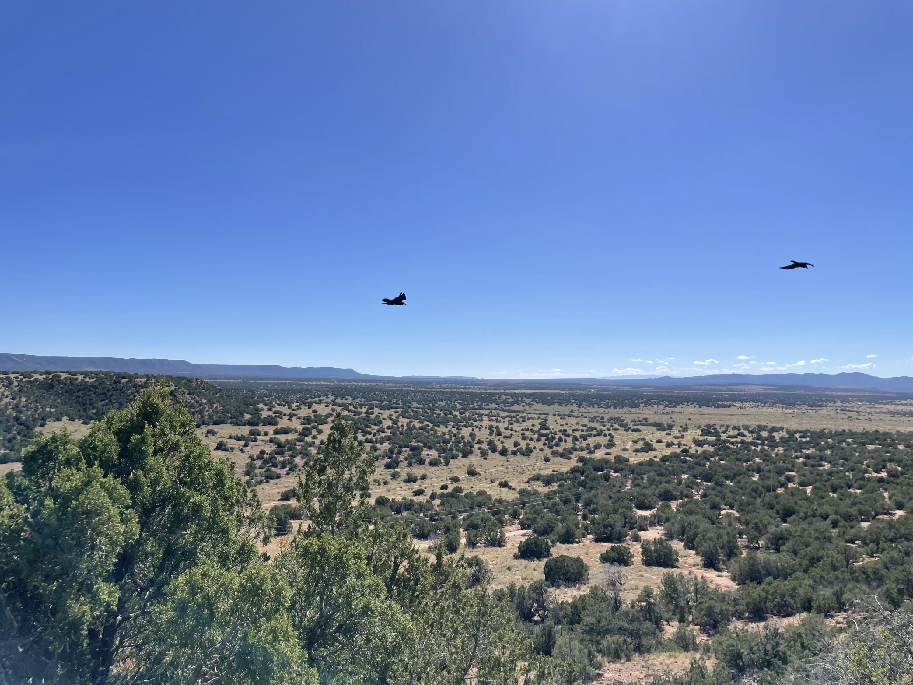 S27 T3n R6e Mountainair, NM 87036 - Photo 2 of 4 Gallery Image 2