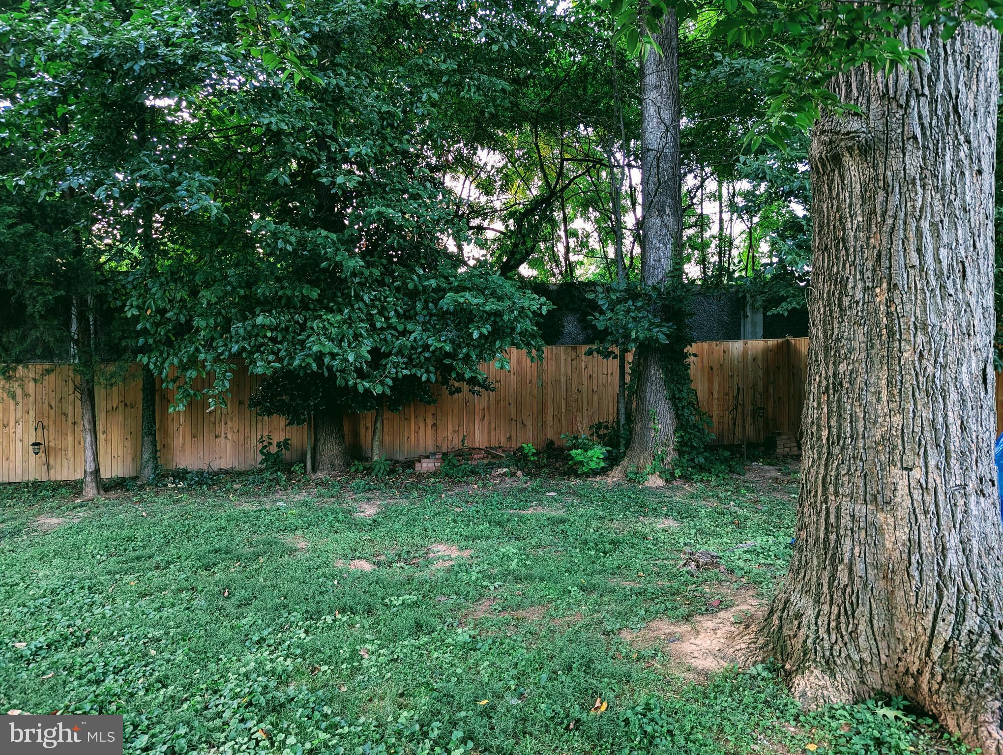 5356 Ravensworth Road Springfield, VA 22151 - Photo 18 of 21 Backyard
