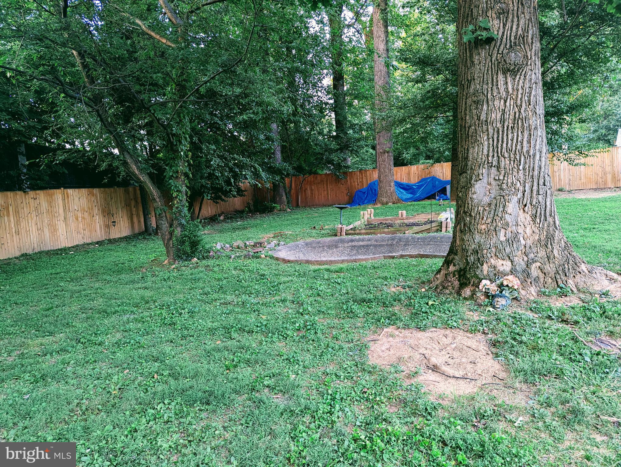 5356 Ravensworth Road Springfield, VA 22151 - Photo 19 of 21 Backyard