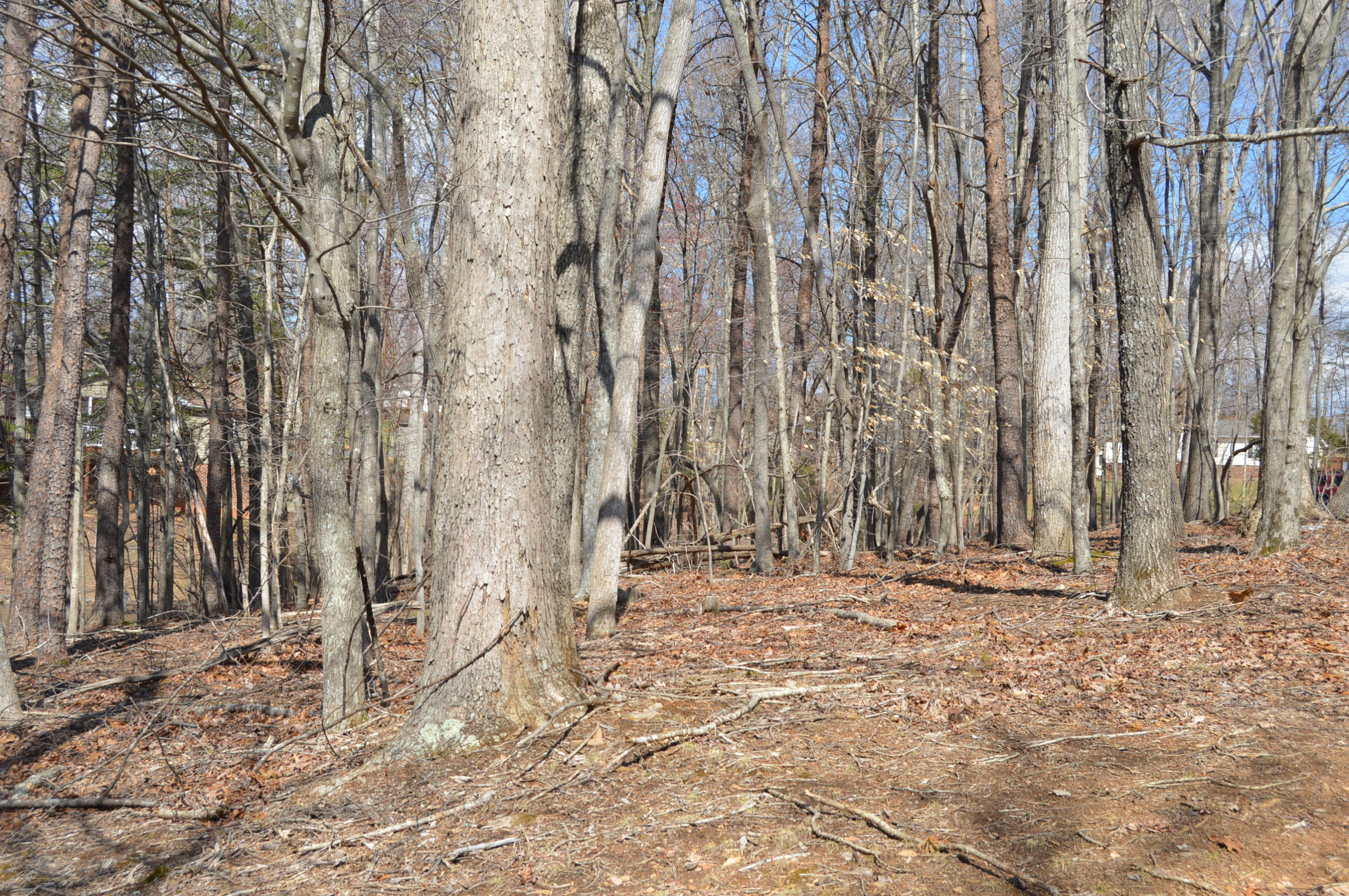 Lot 14 Cool Branch Road Penhook, VA 24137 - Photo 8 of 13 DSC_0009