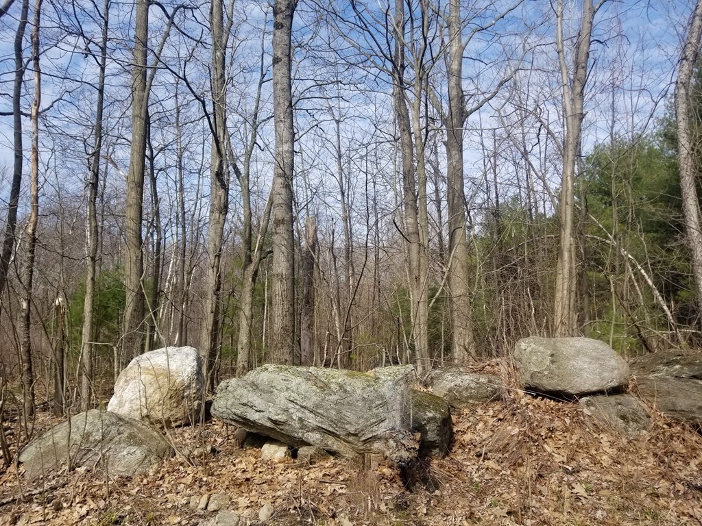 0 Reagan Road Granville, MA 01034 - Photo 2 of 7 Gallery Image 2