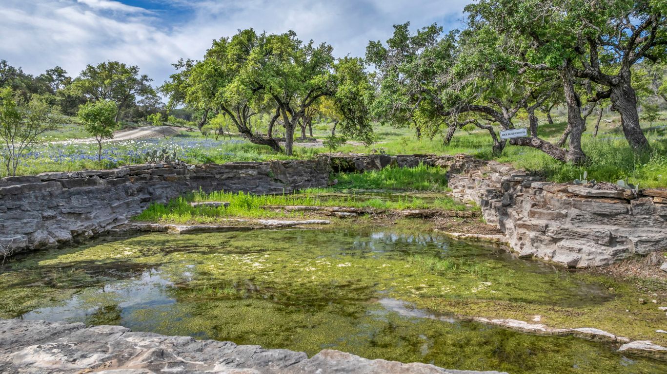 3531 Rr 3347 Round Mountain Round Mountain, TX 78663 - Photo 2 of 14 a view of a garden with large trees