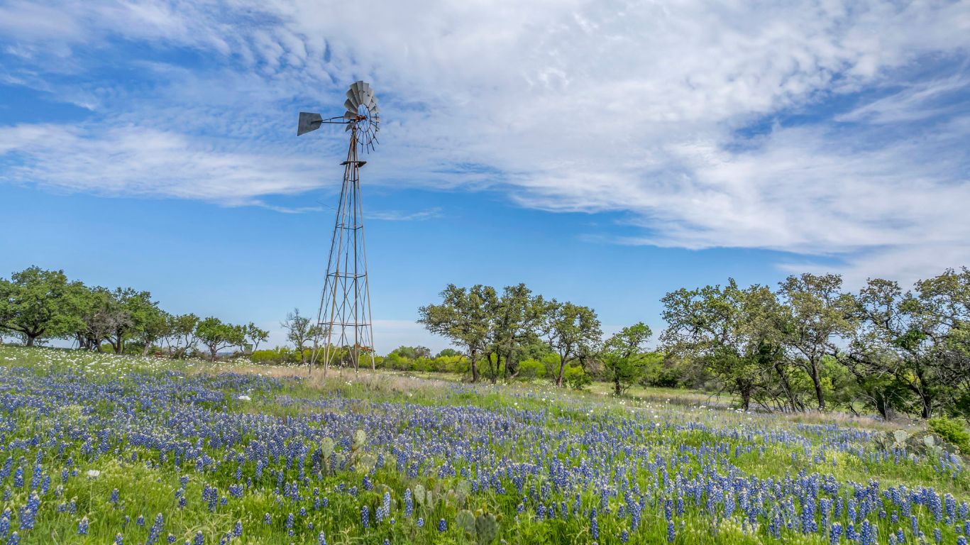 3531 Rr 3347 Round Mountain Round Mountain, TX 78663 - Photo 10 of 14 a view of a yard