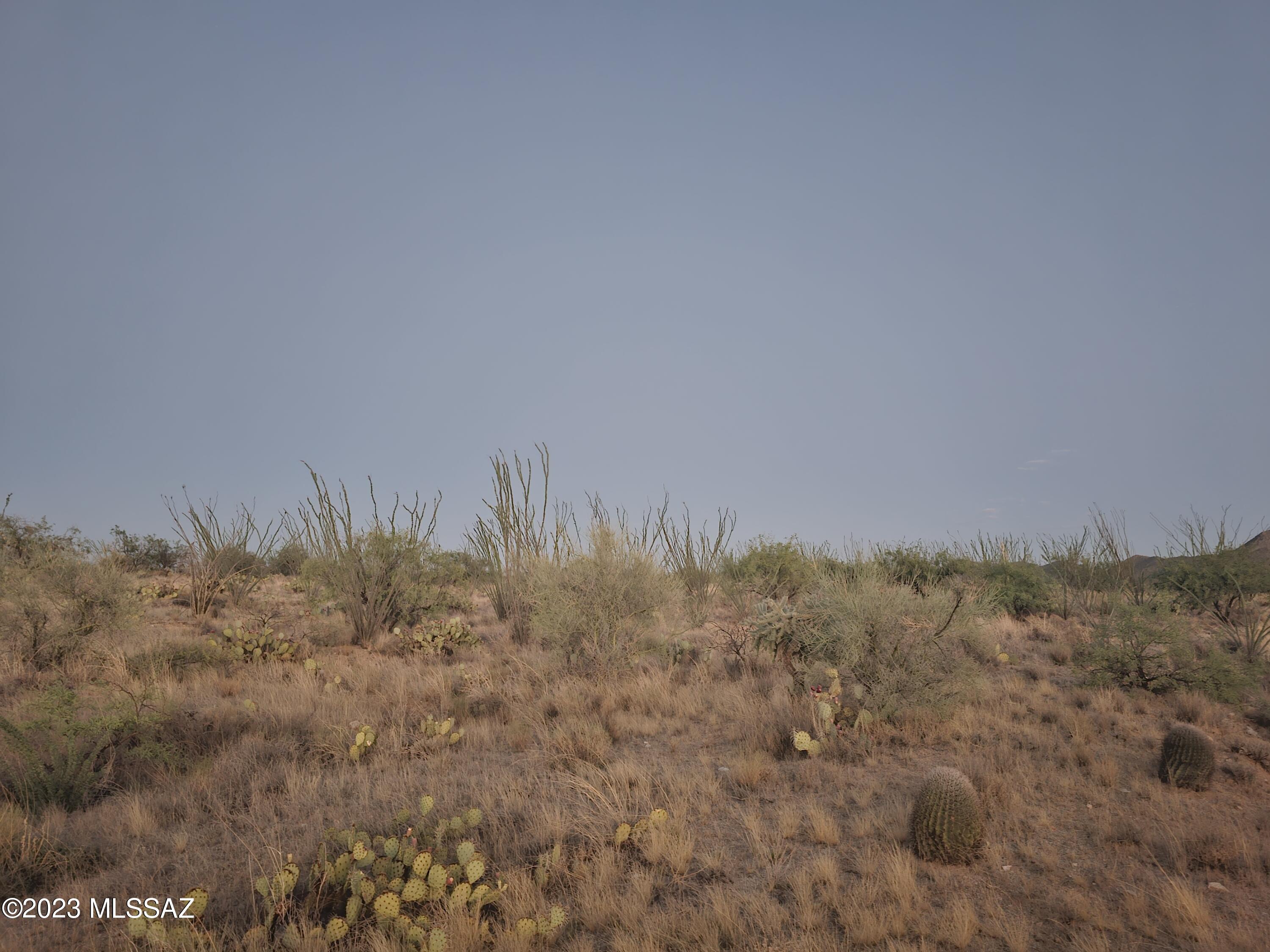 13900 Rundell Road, Unit 279 Tucson, AZ 85736 - Photo 2 of 6