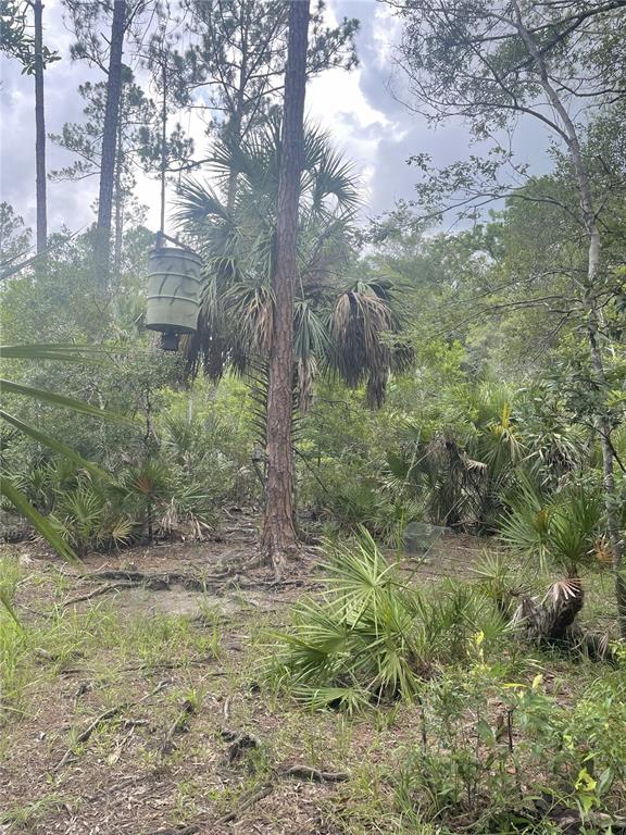 0 Southwest County Road 347 Cedar Key, FL 32625 - Photo 13 of 31 Gallery Image 13