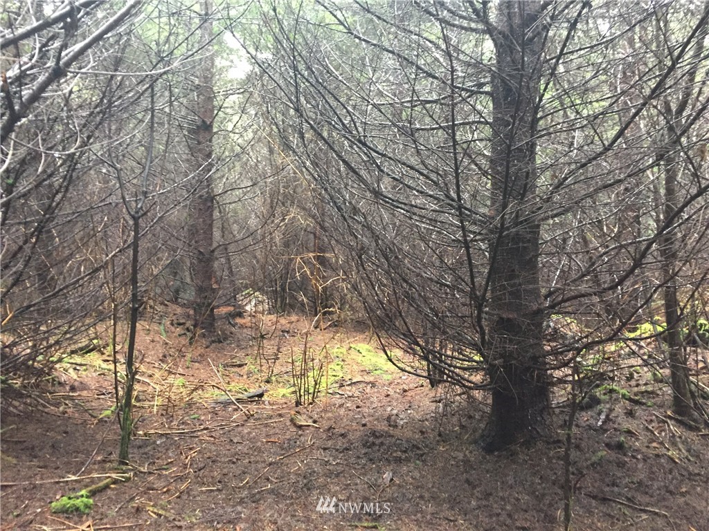 -xxx Xxx Road Cathlamet, WA 98612 - Photo 9 of 10 Gallery Image 9