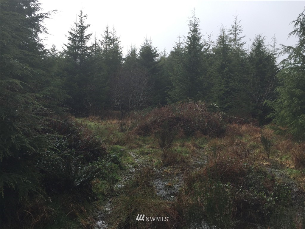-xxx Xxx Road Cathlamet, WA 98612 - Photo 10 of 10 Gallery Image 10