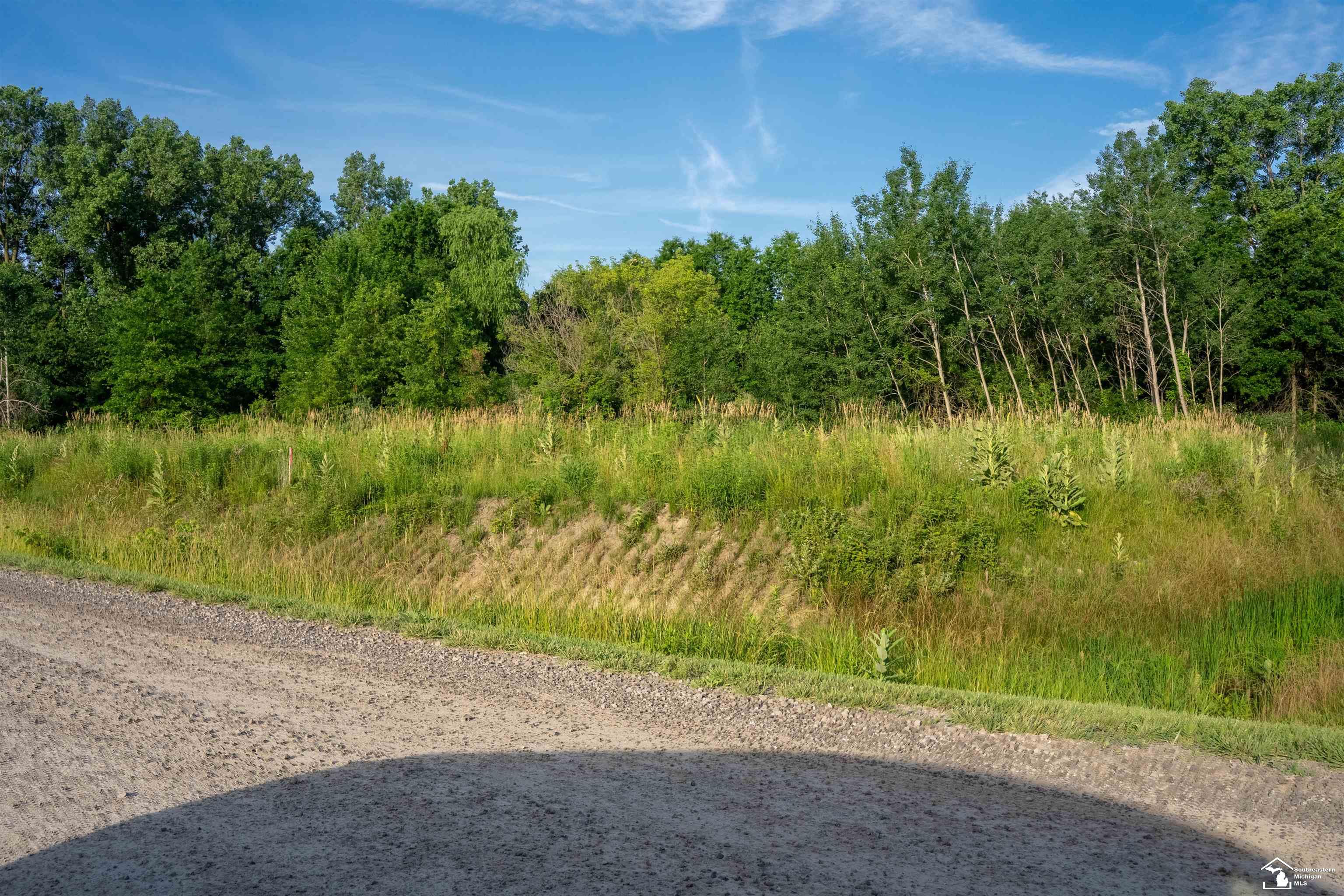 Parcel D Timbers Road Carleton, MI 48117 - Photo 12 of 20