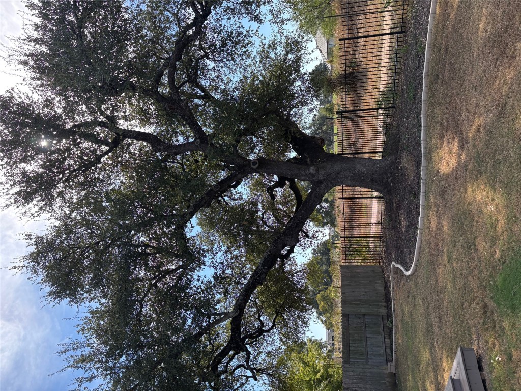1421 Morning View Road Georgetown, TX 78628 - Photo 37 of 39 a view of outdoor space with deck and trees