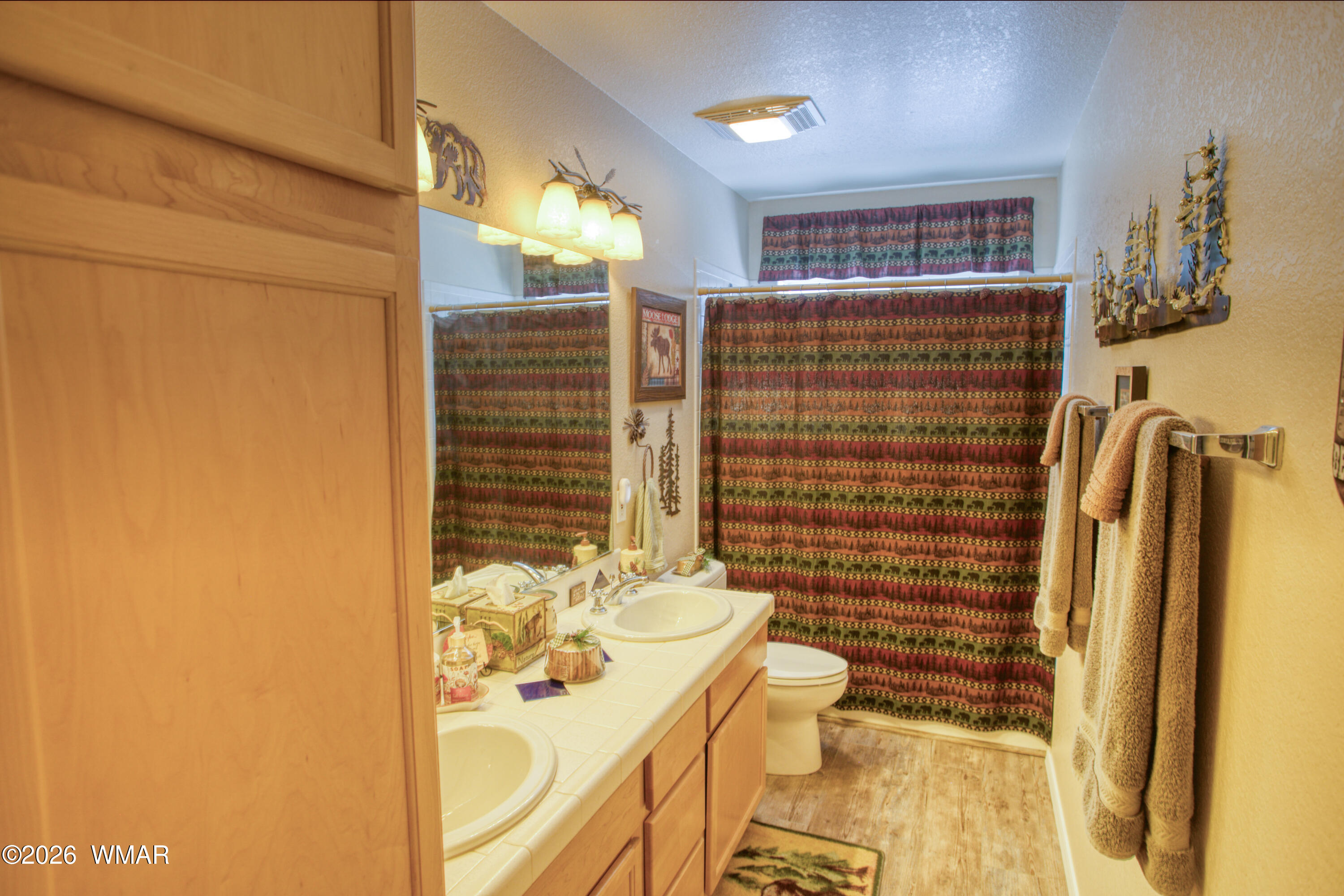 4161 West Thornton Road Show Low, AZ 85901 - Photo 12 of 46 Bathroom
