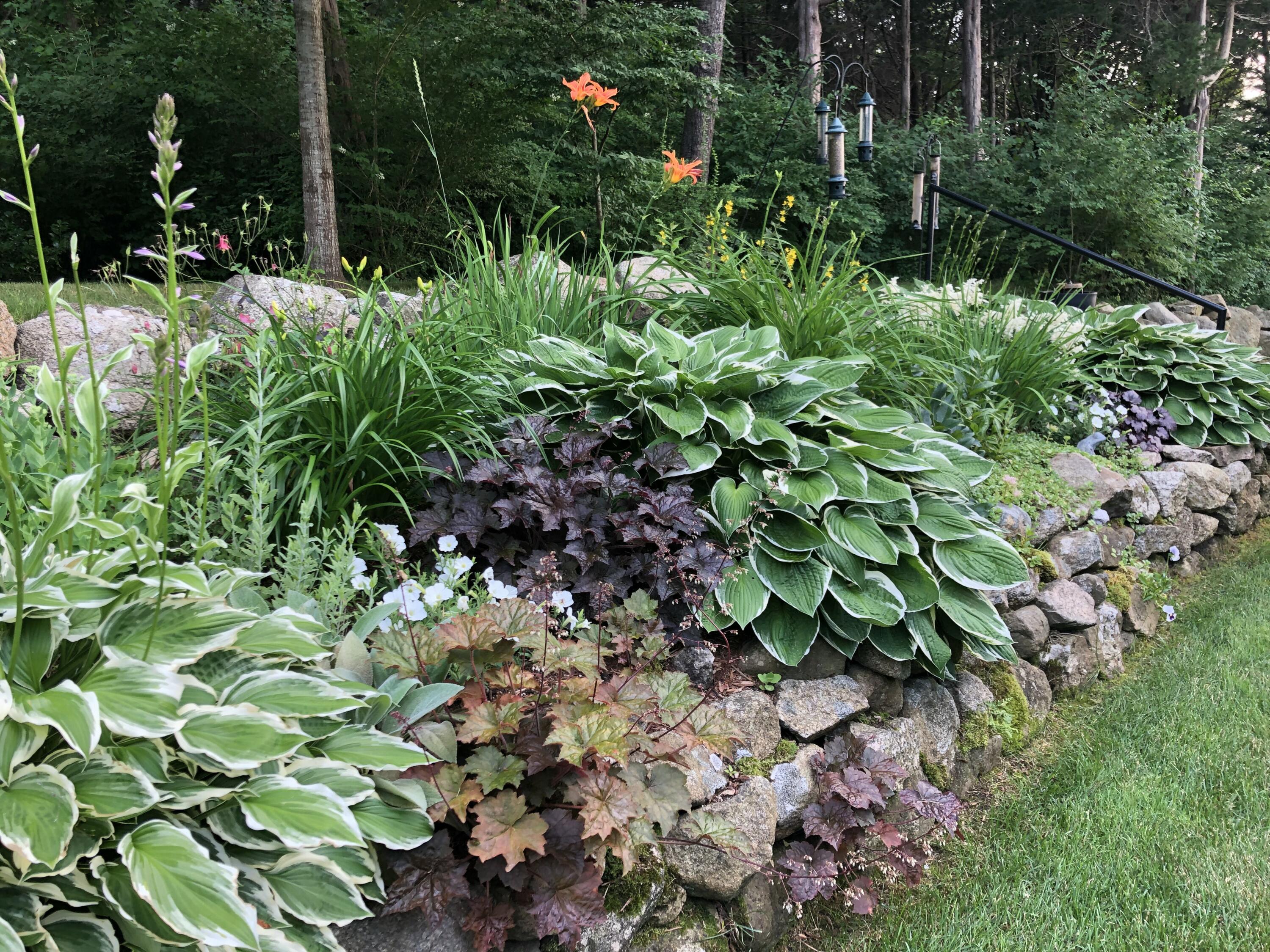 11 Sheperds Way Barnstable, MA 02630 - Photo 58 of 58 IMG_4184