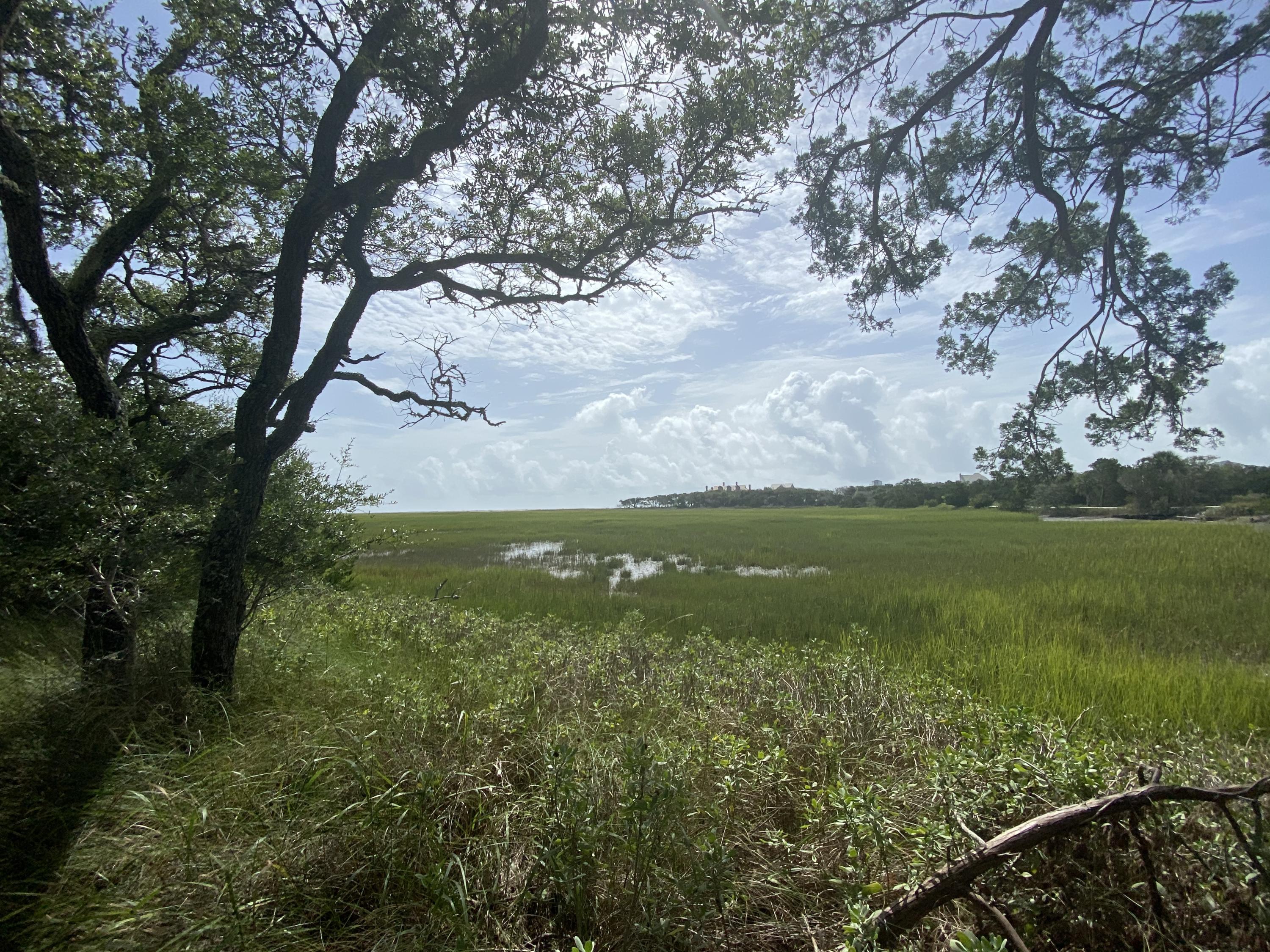 7682 Legare Road Edisto Island, SC 29438 - Photo 3 of 11 Photo Aug 25, 11 14 18 AM