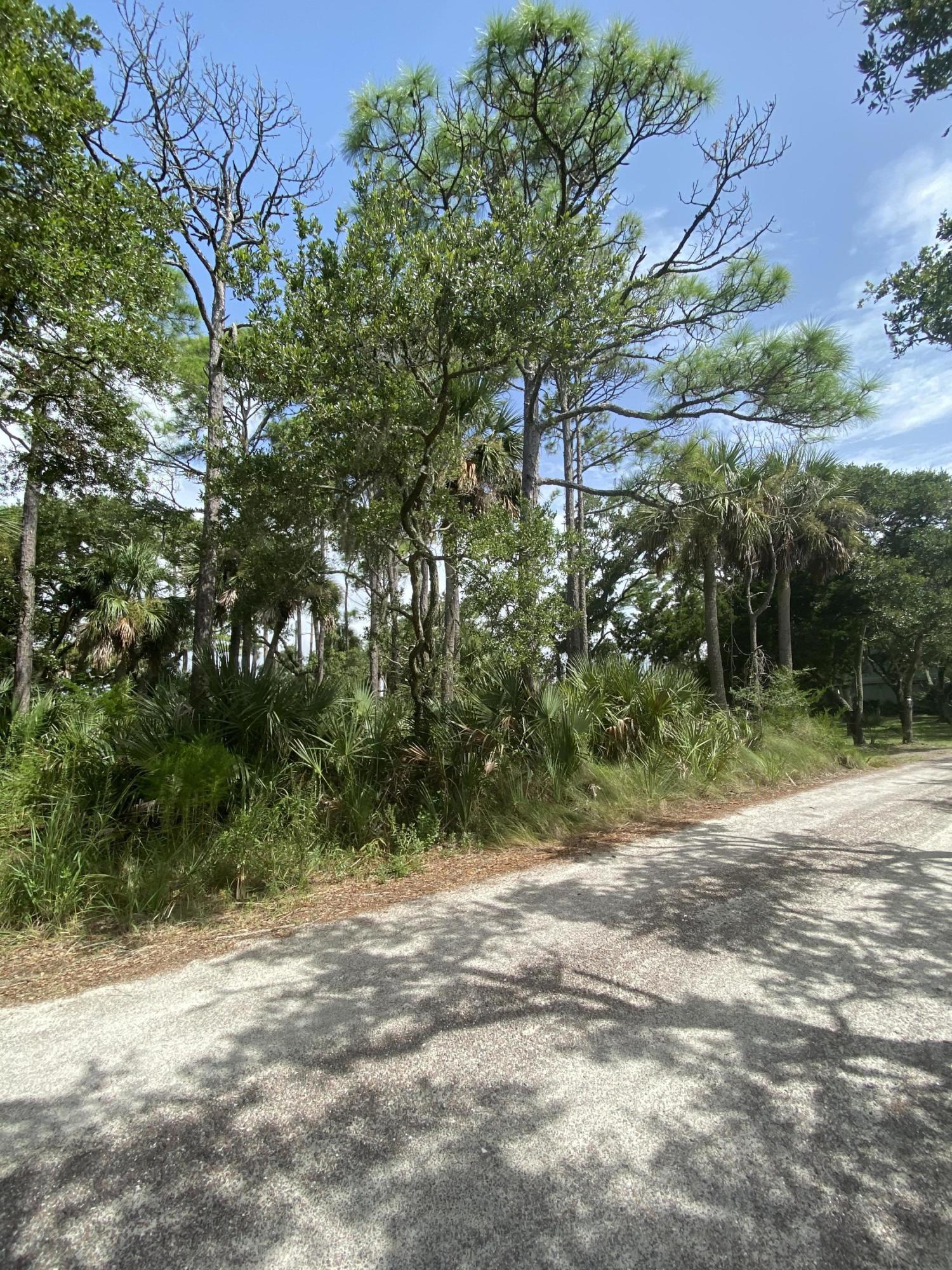 7682 Legare Road Edisto Island, SC 29438 - Photo 5 of 11 Photo Aug 25, 11 14 27 AM
